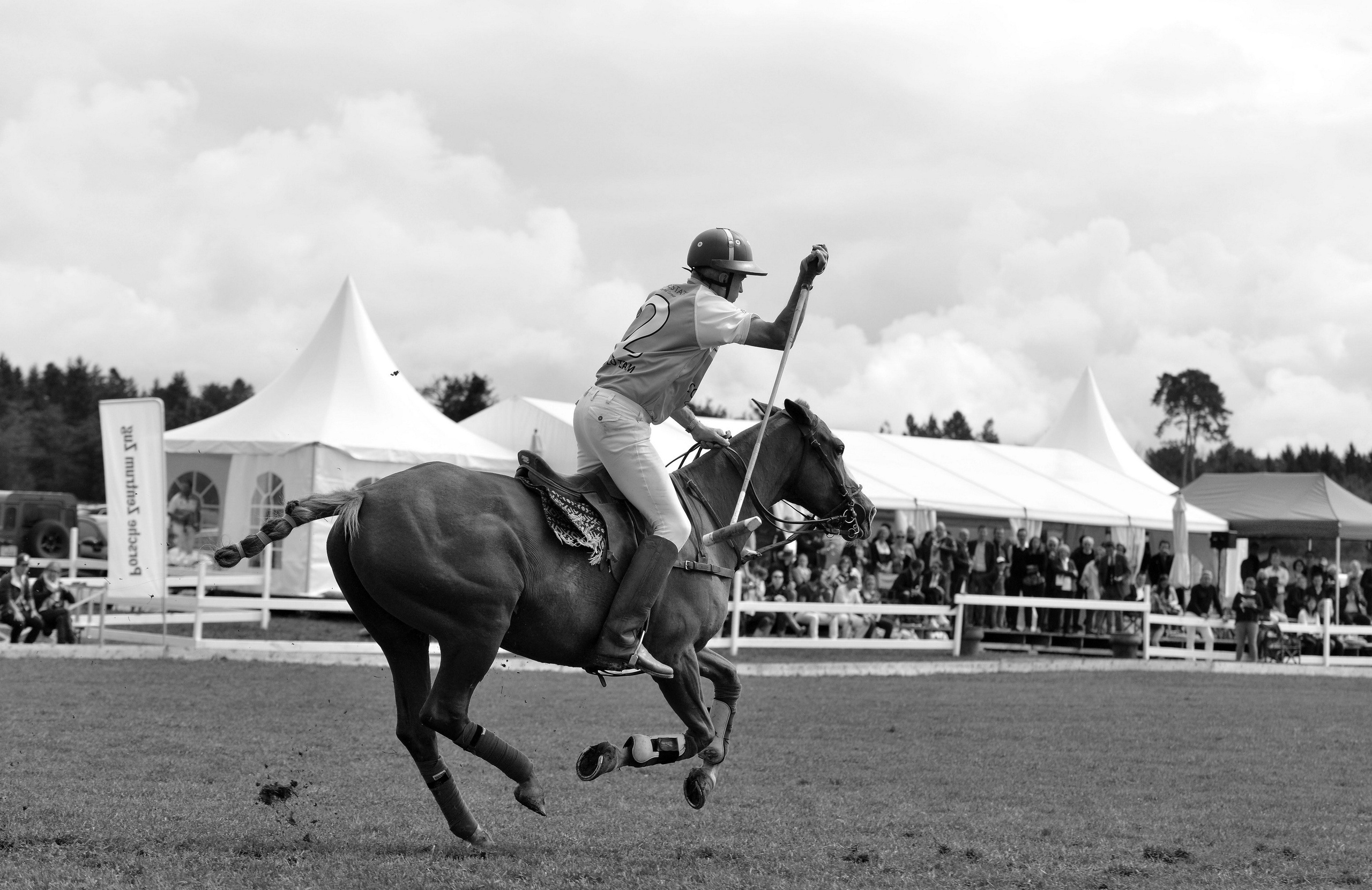 Polo art photos. Art photos of horses — ARTUR BABOEV | Photographer