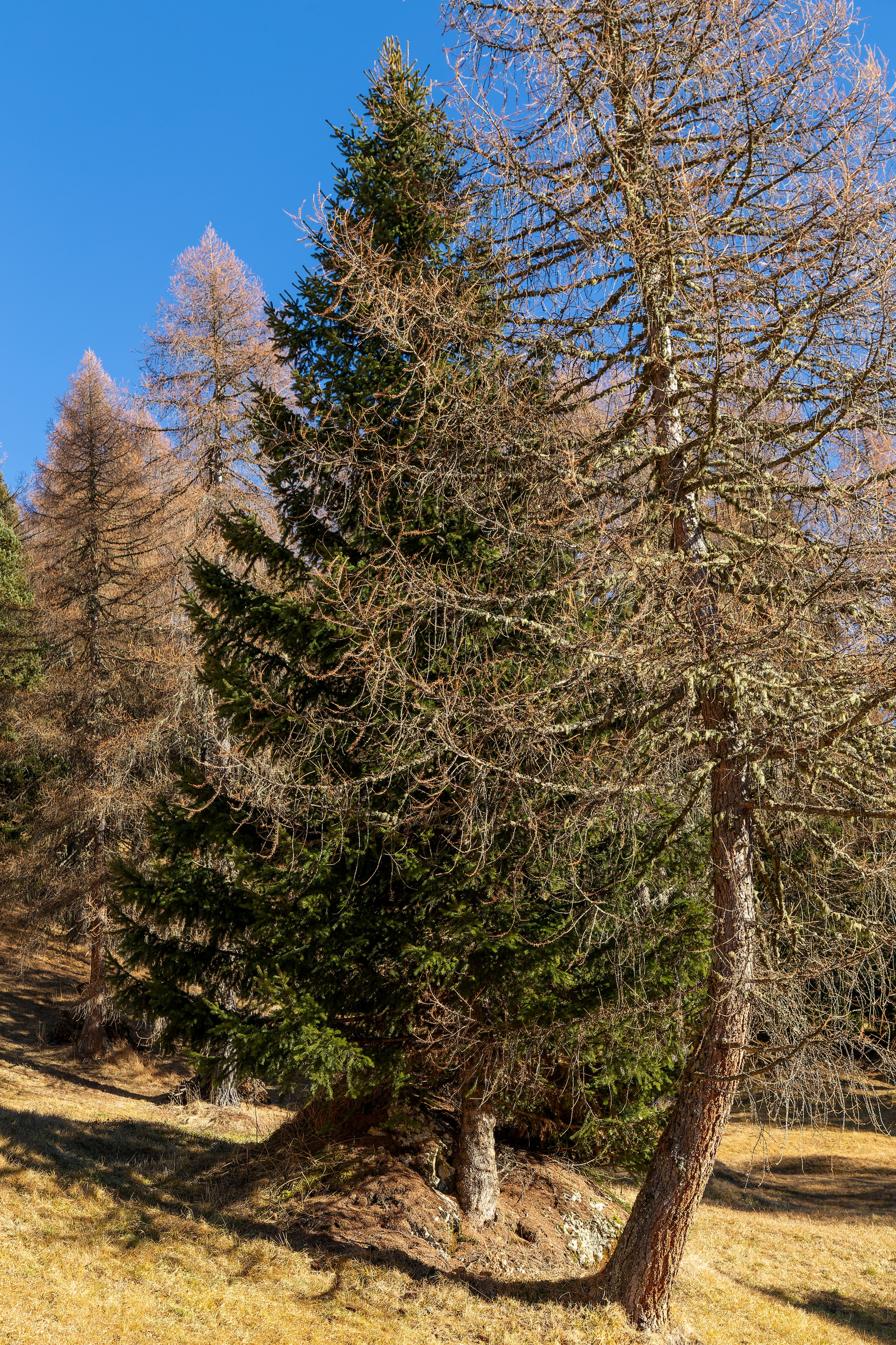 Фотосъёмка Альпы Италия, пейзажи и архитектура. «Студия DRONAVT`s» — видеосъёмка и фотография г. Москва