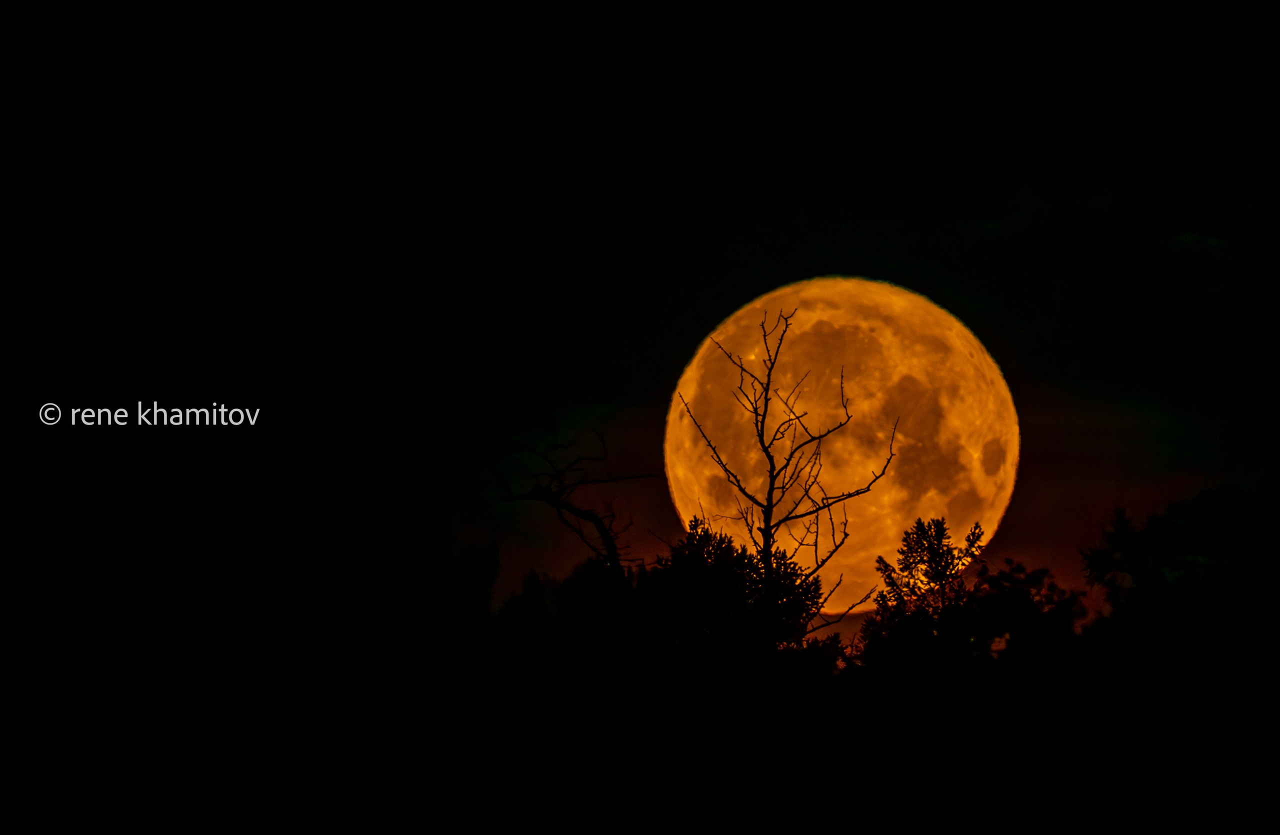 Rising moon over my village. Pictures of Rene Khamitov