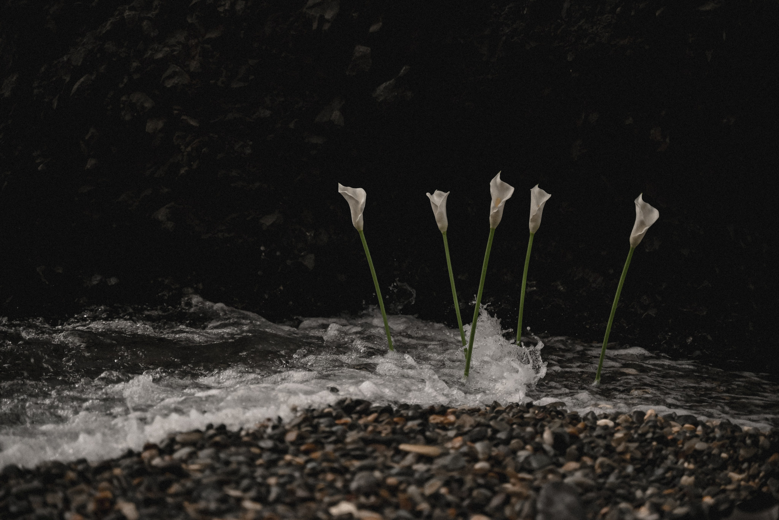 Марк Татьяна Рассвет Яшмовый пляж. Свадебный фотограф Анна Хочева