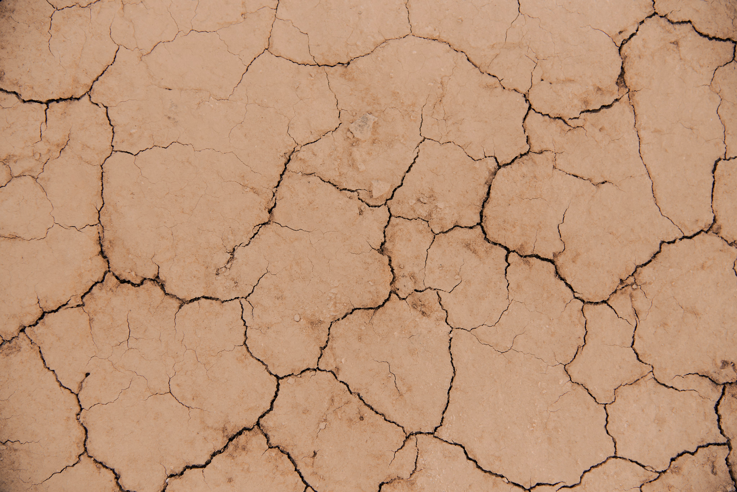 Anima. Фотограф Алматы Ольга Photodooshy