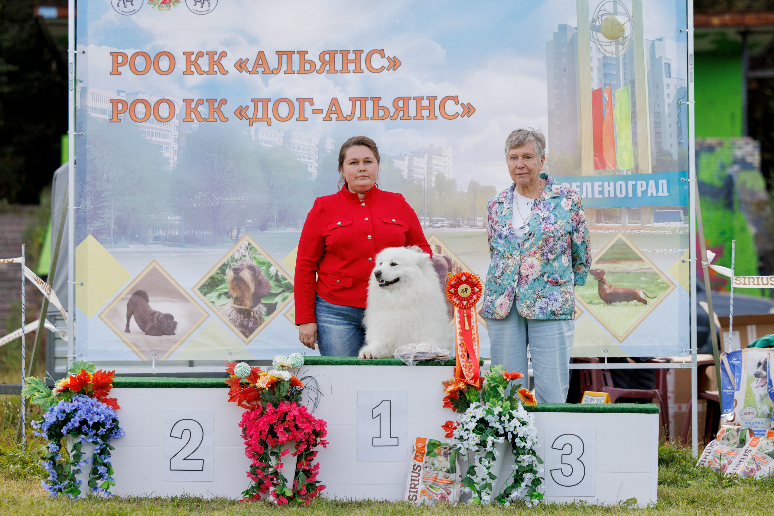 Зеленоград 13.09.2025. Фотограф-анималист Юлия Германика