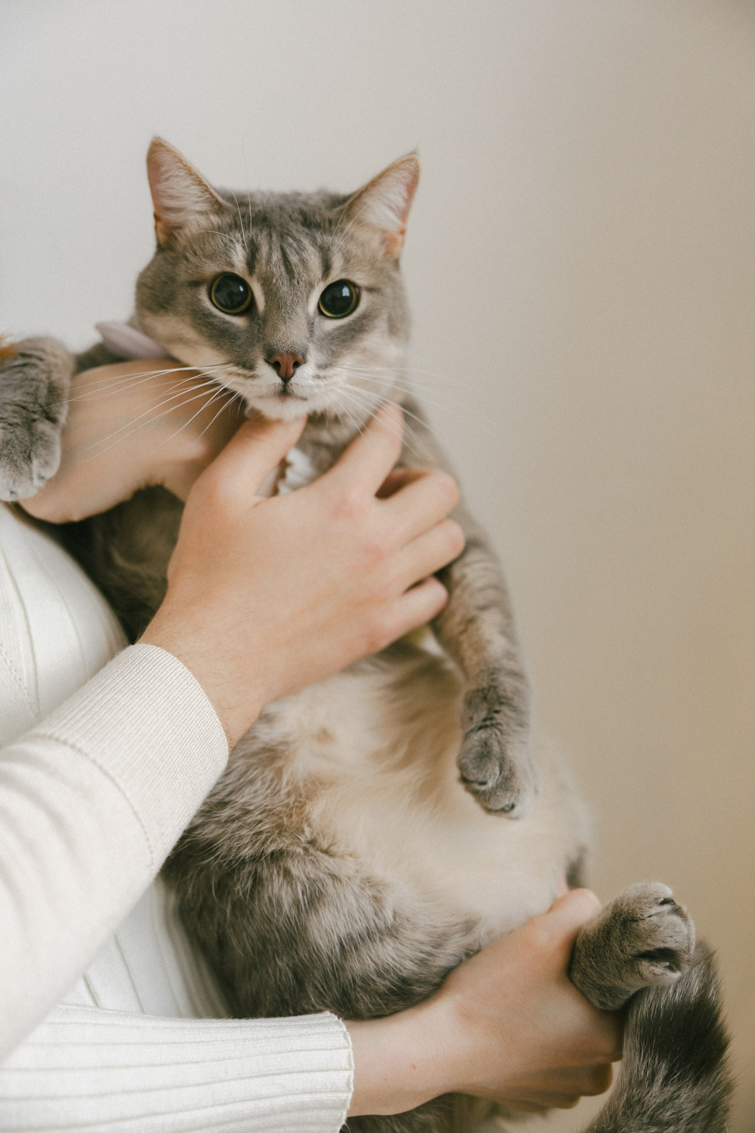 DomStudios. Свадебный фотограф Нижний Новгород