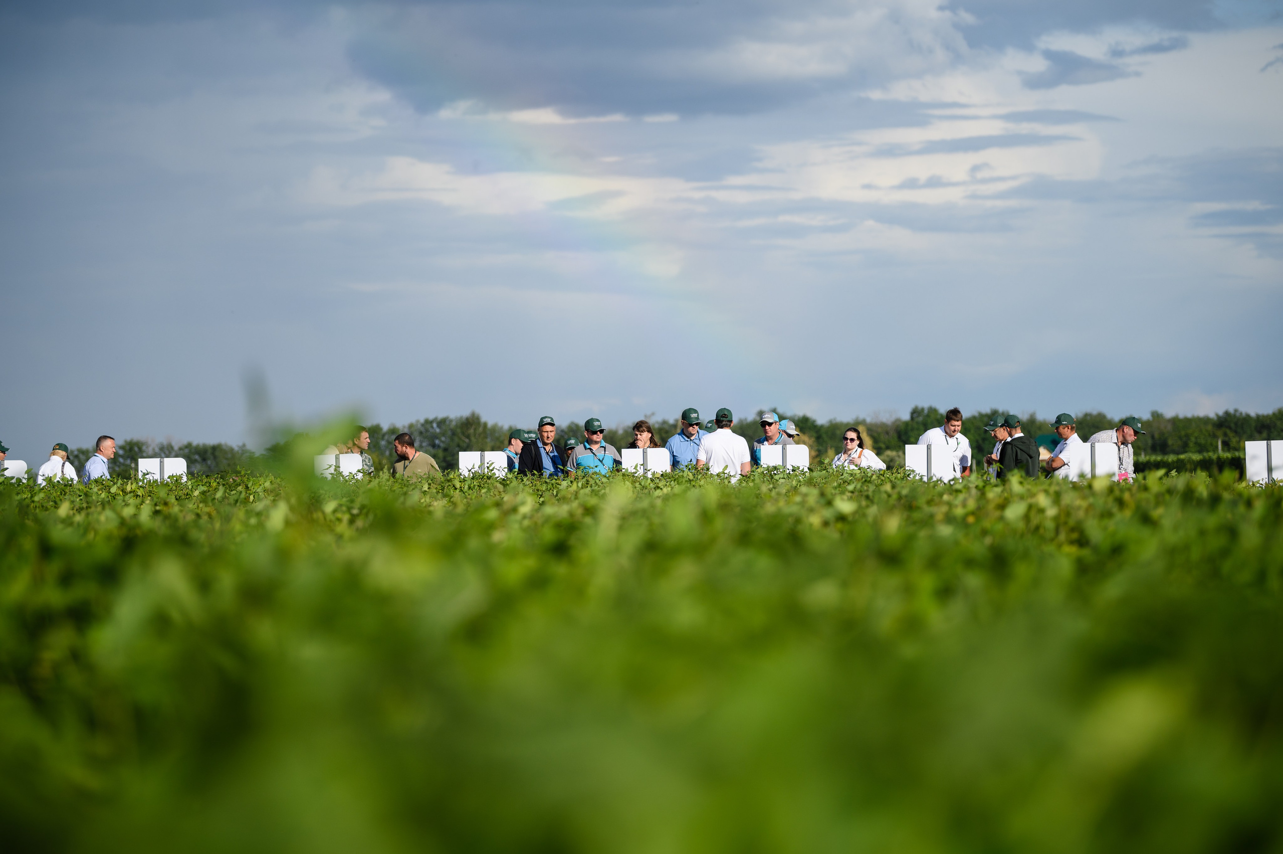 Проекты. Профессиональный фотограф Вячеслав Плацында | Липецк |