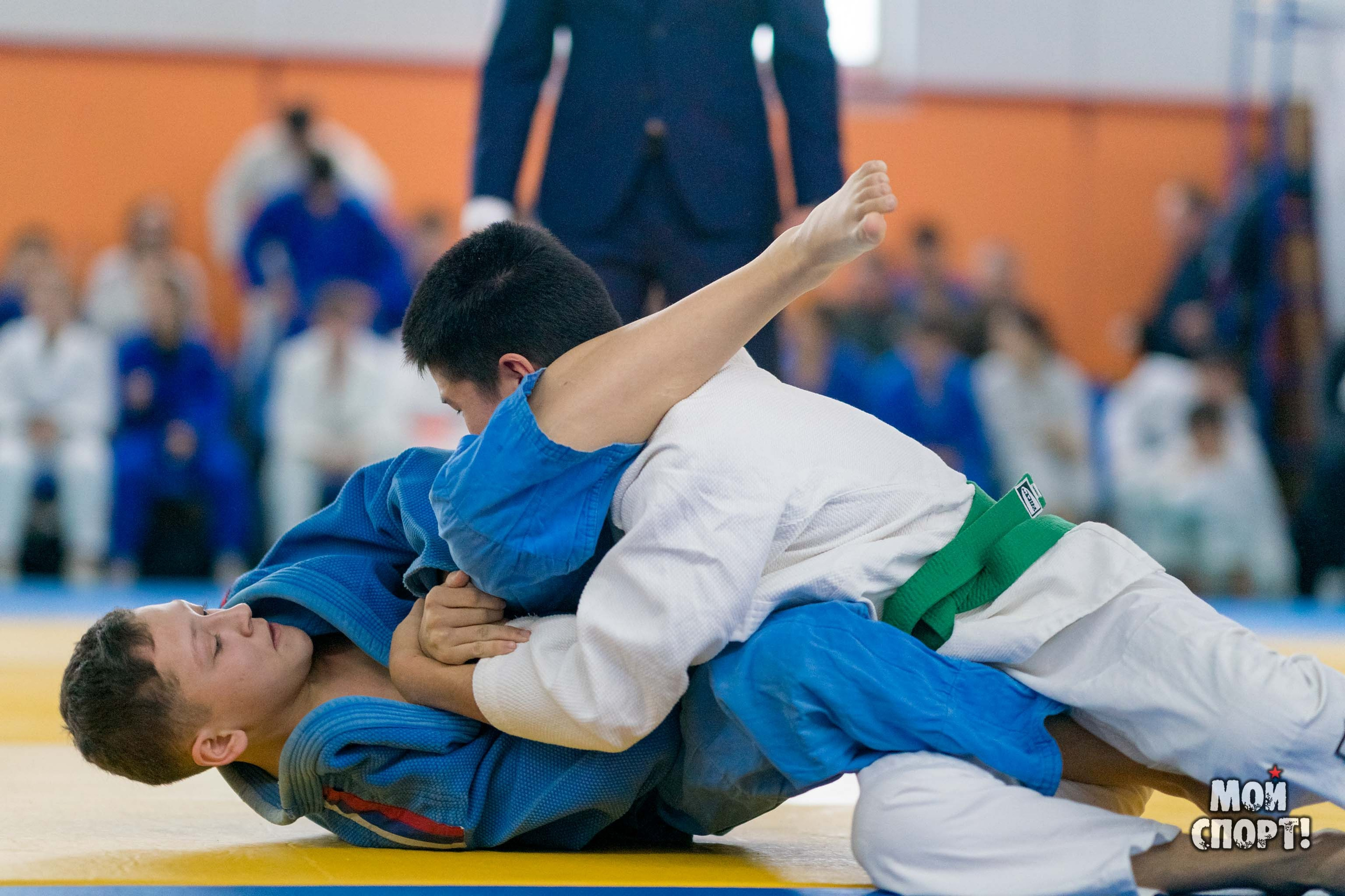 Кубок и первенство РС (Я) по дзюдо. Студия «Мой Спорт!» — все о спорте в Якутии