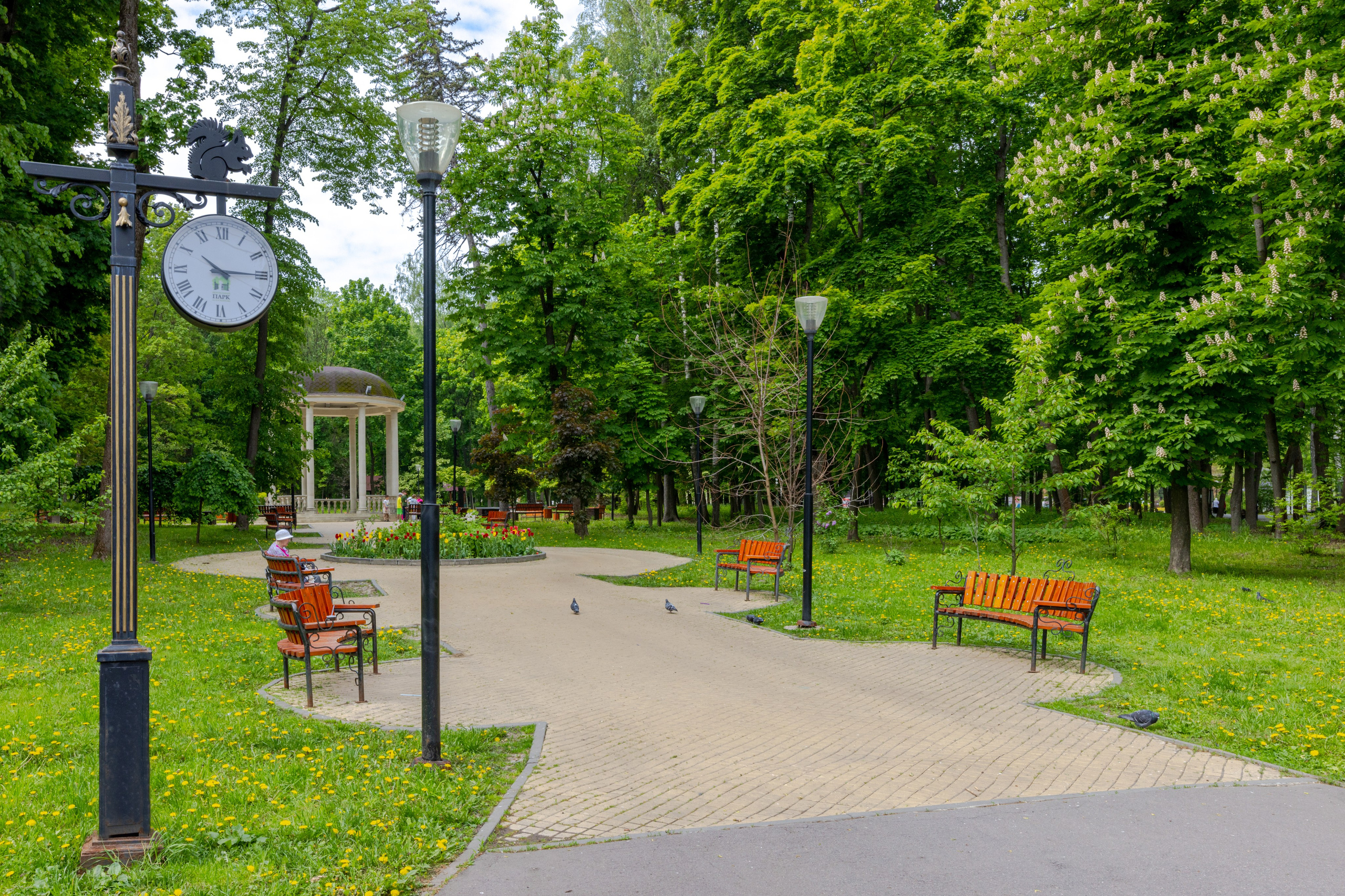 Парк им. П. П. Белоусова г. Тула 2024 г. Фотограф в Туле Крупский АнДРей. Фотостудия «КАДР71» в Туле