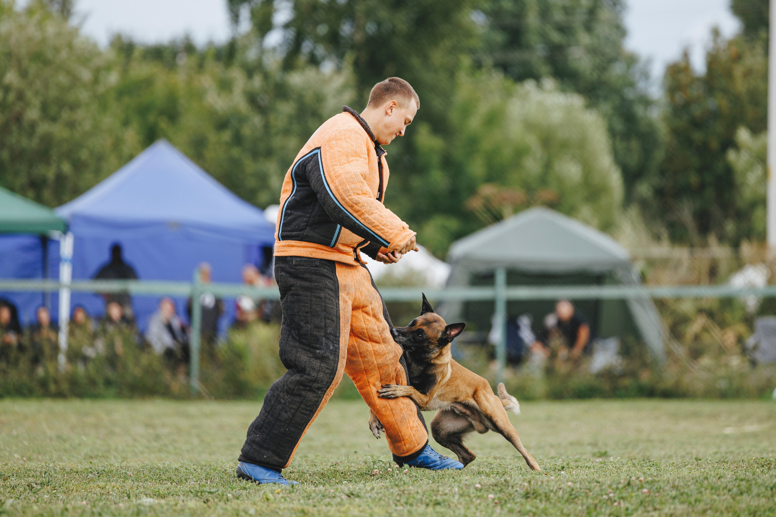 08.08.25-10.08.25 ЧР по мондьорингу г. Вологда. Фотограф-анималист Анна Маринич
