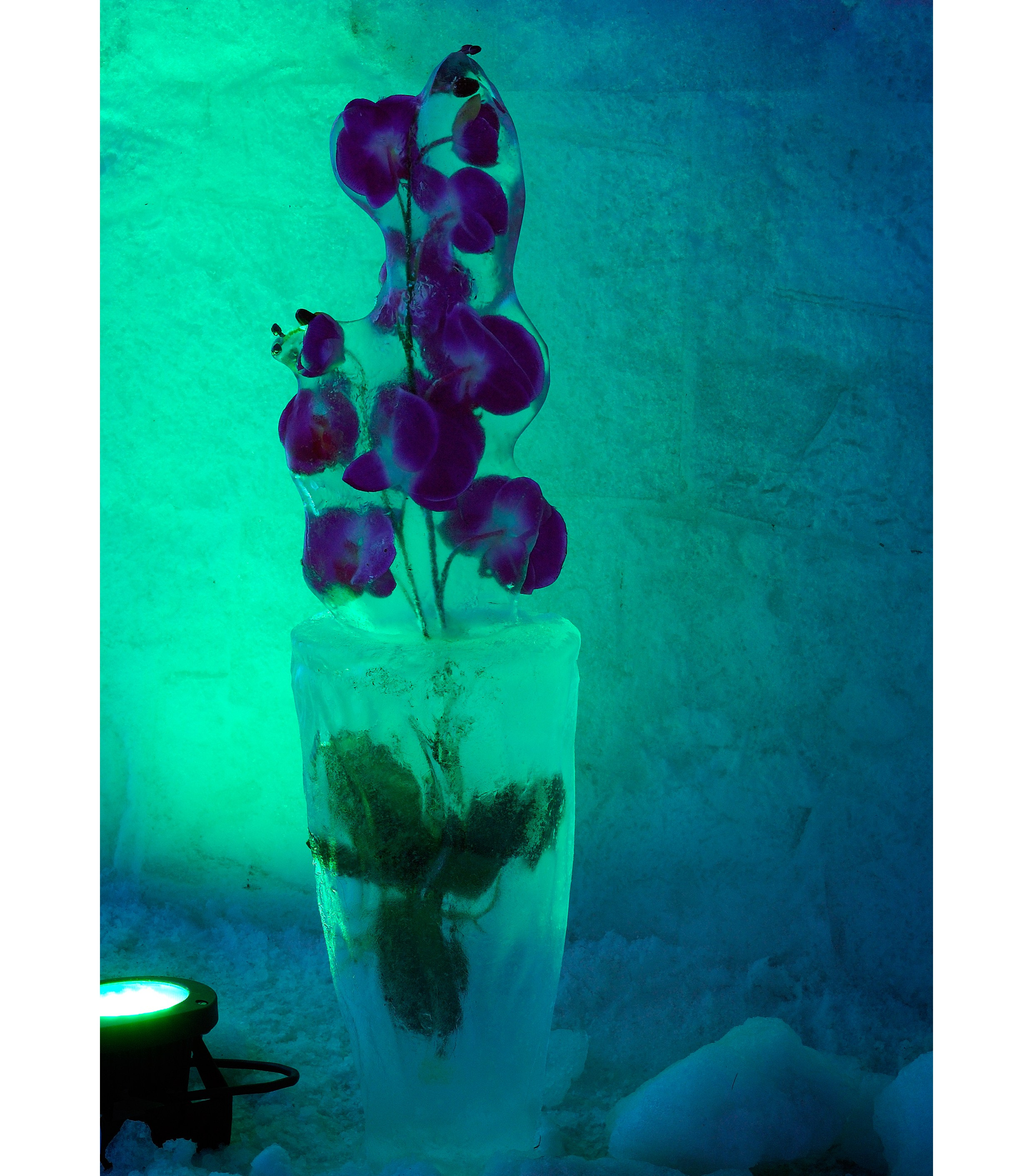 Зима. Пейзажный и предметный фотограф в Санкт-Петербурге Александр Богданов