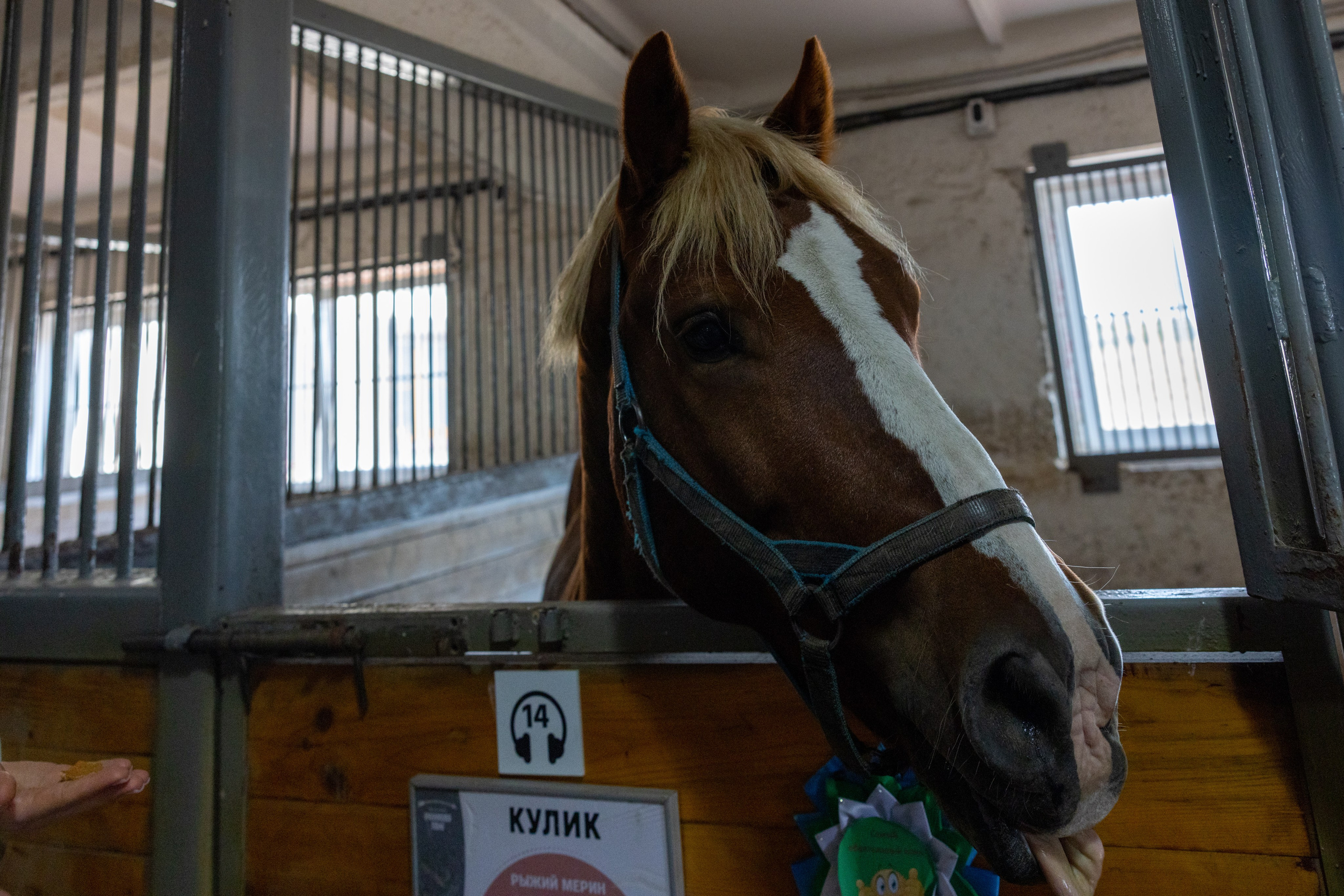 Поездка на поле Кулеково. Фотограф в Туле Крупский АнДРей. Фотостудия «КАДР71» в Туле