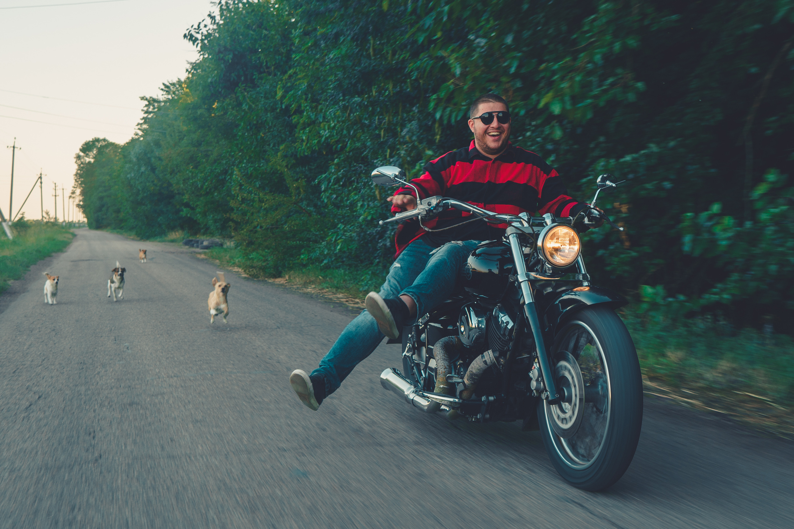 Александр. Свадебная, репортажная видеосъёмка в Краснодаре и Краснодарском крае