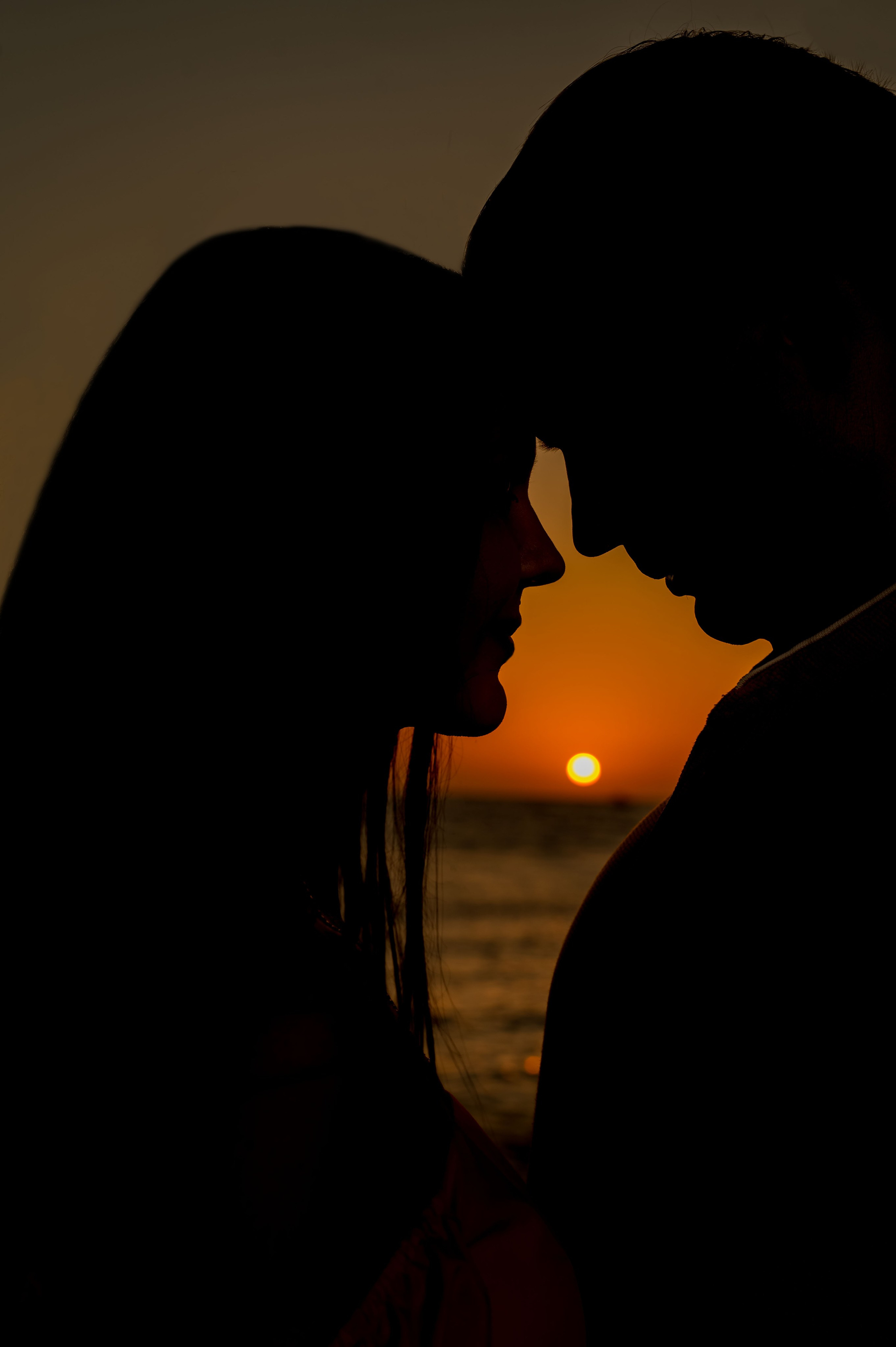 лавстори силуэты на фоне заката