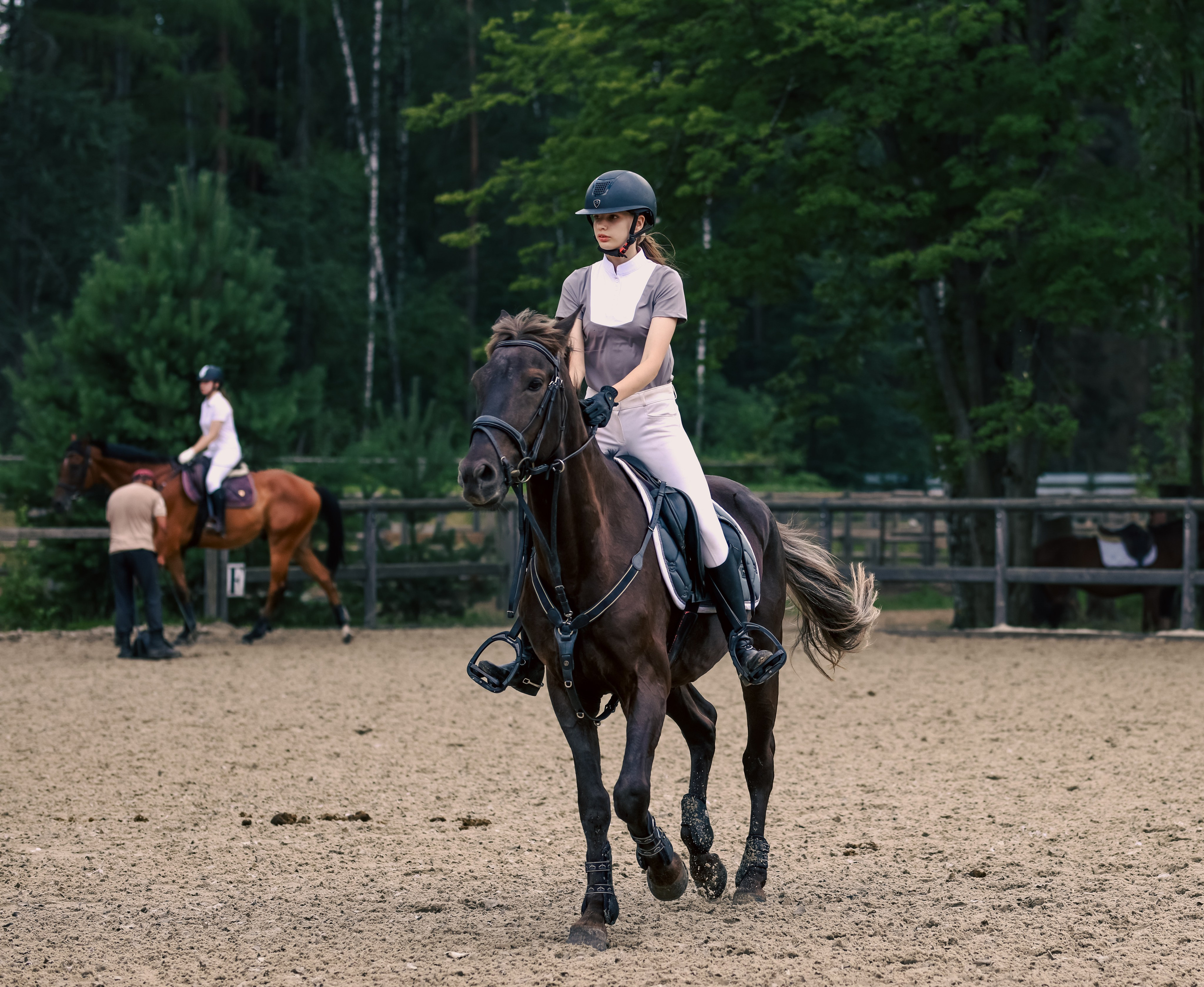 Лошади. Фотограф репортажей и стритфотосессий в Москве Людмила Смирнова