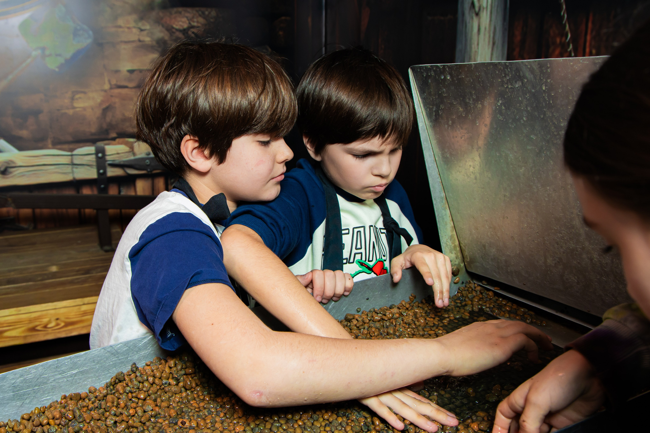 Золотая лихорадка 04/04 Vegas. Виктория Литвинова репортажный фотограф Москва