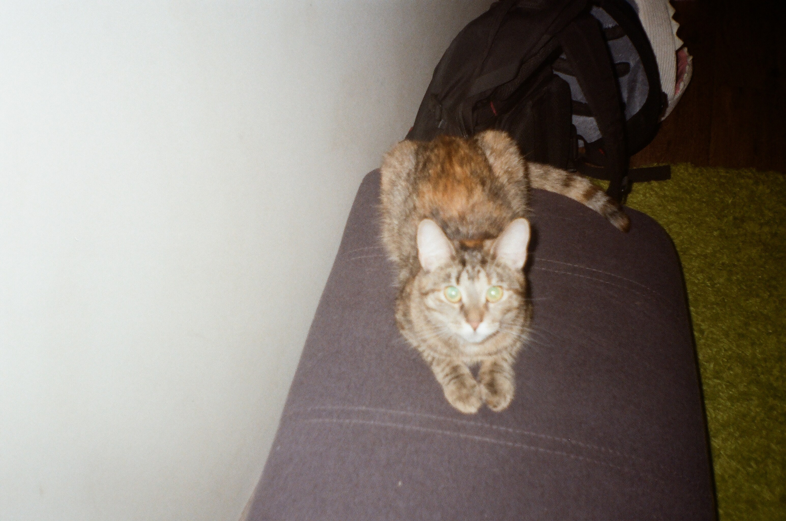 Плёнка. Человек в Шляпе