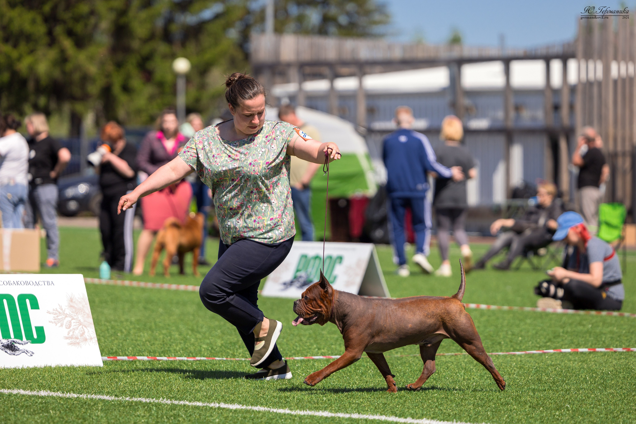 Суздаль 18-19.05.2024. Фотограф-анималист Юлия Германика