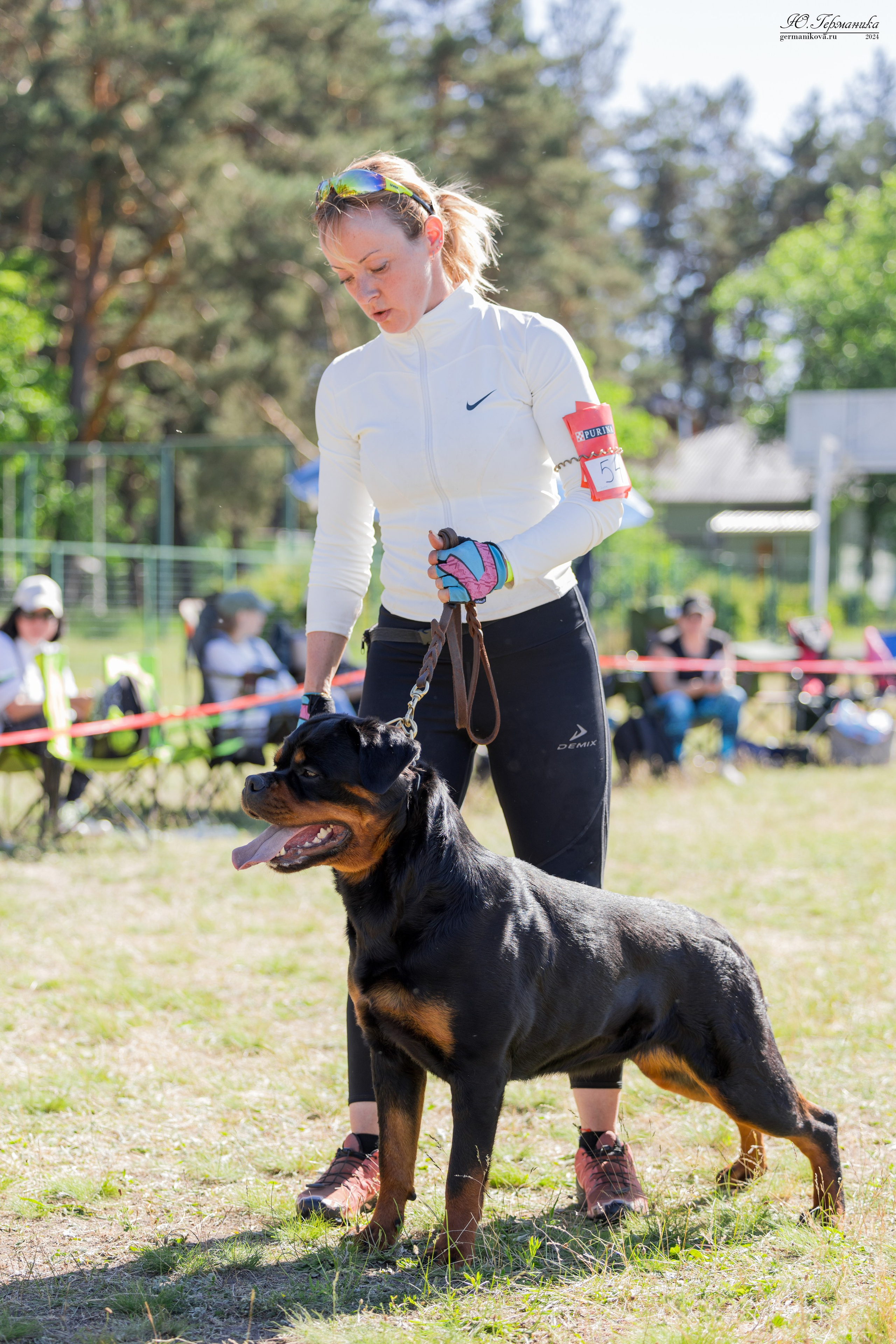 Воронеж моно ротвейлеров 25-26.05.2024. Фотограф-анималист Юлия Германика