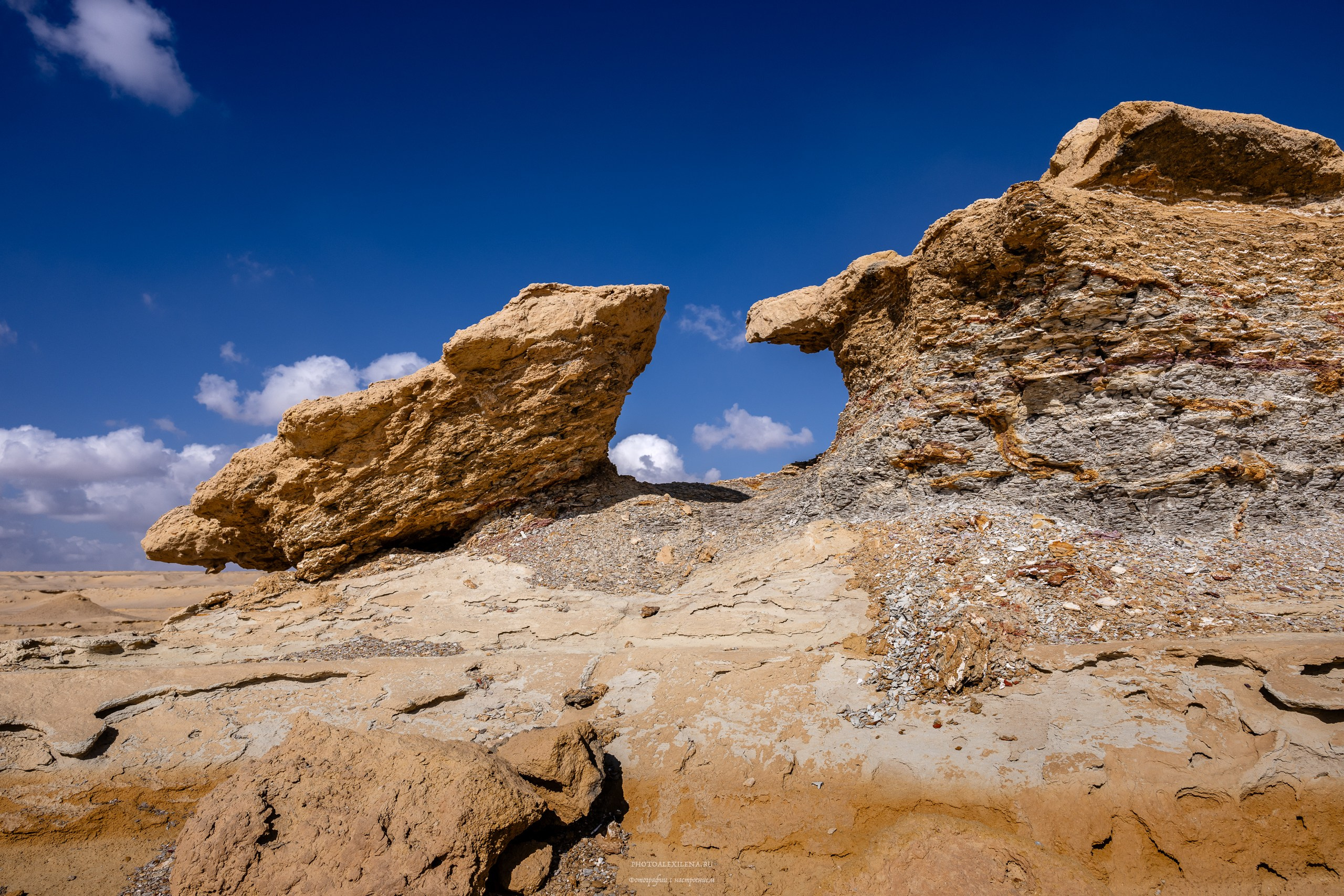 Снова в пустыню, за скелетами…. Авторские стильные фотокартины