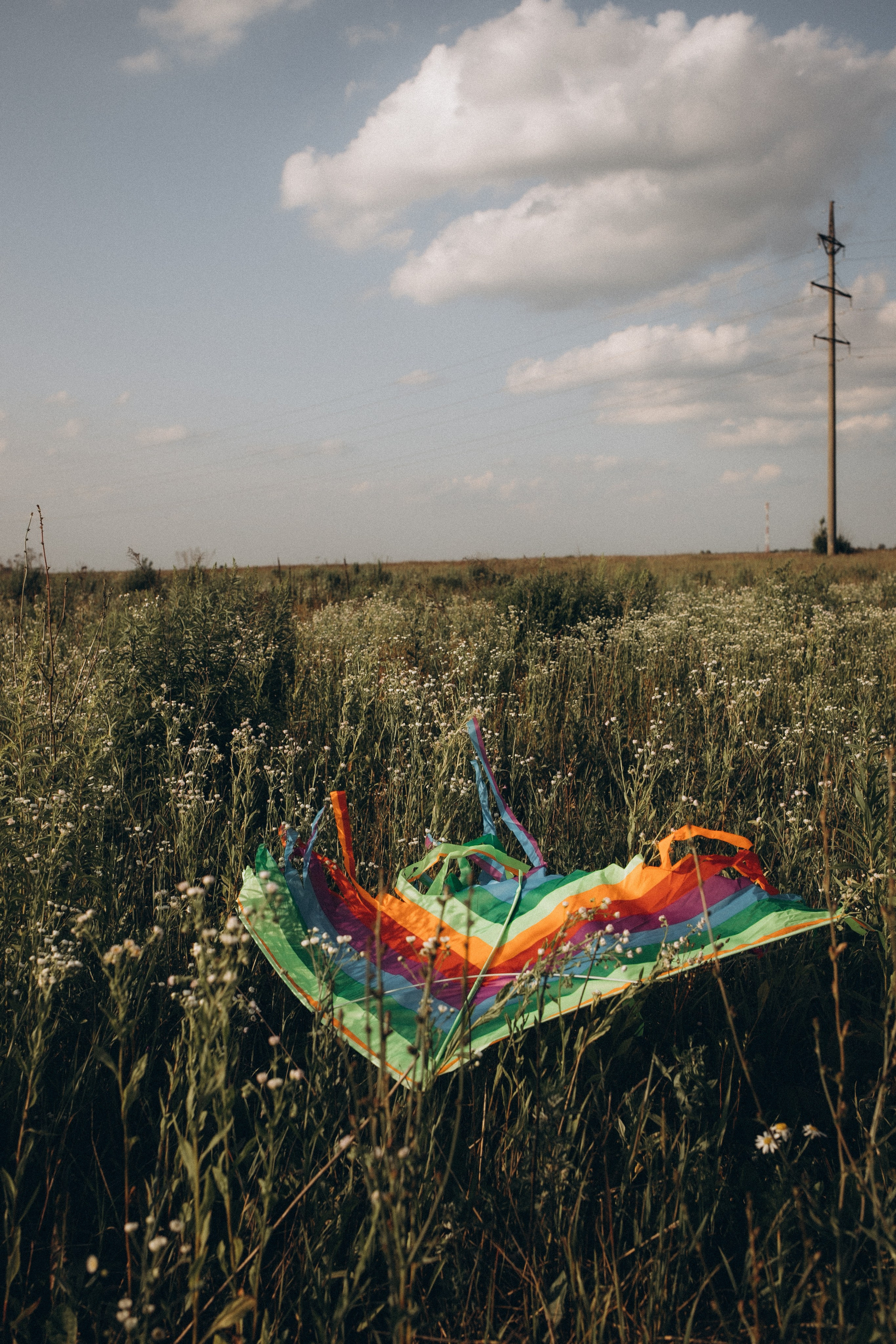 Саша, Женя, Никита и Саша. Семейный и свадебный фотограф Анна Кожокарь