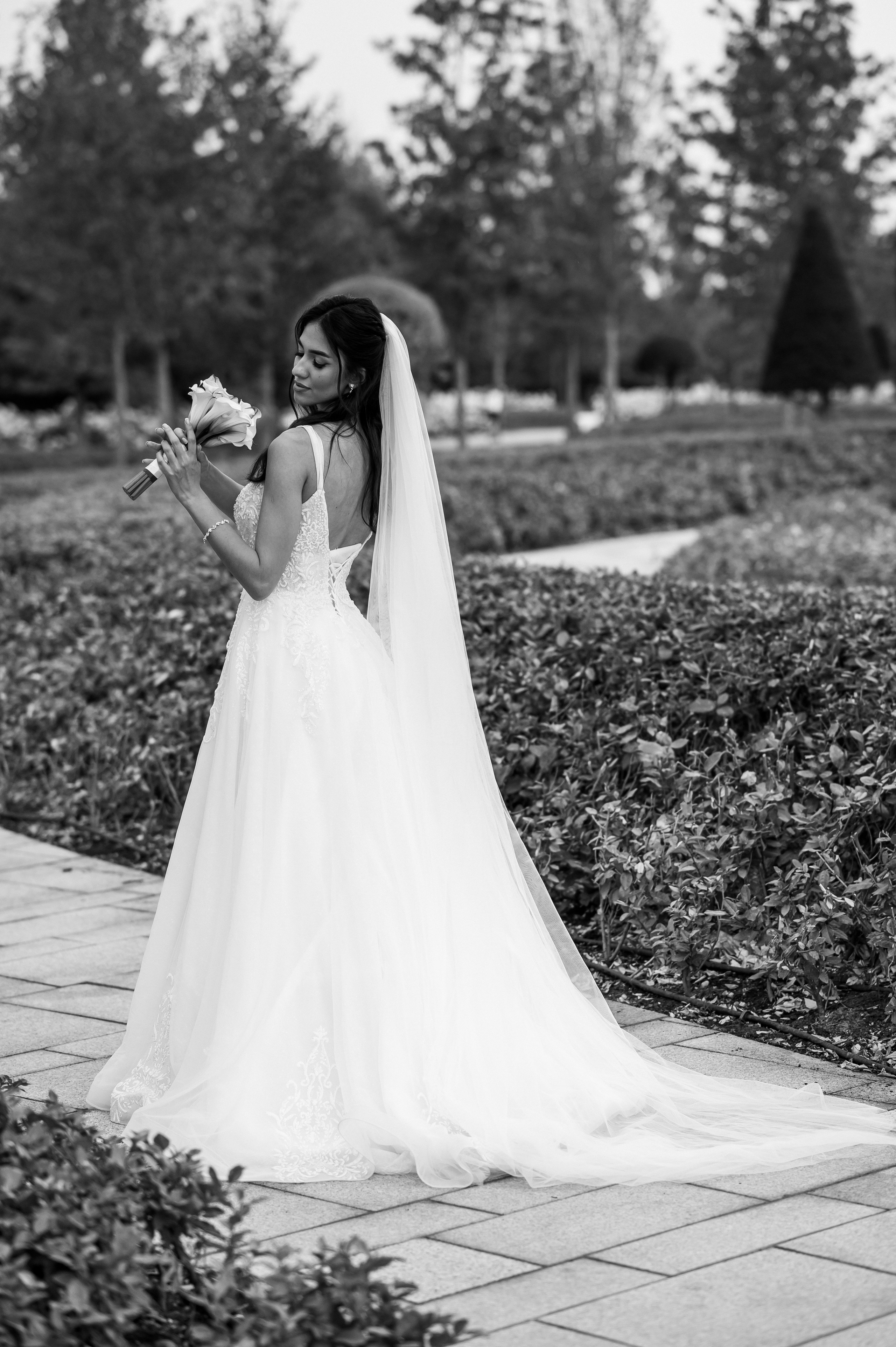 Роман и Регина. Свадебный и семейный фотограф в Краснодаре Алина Мельник