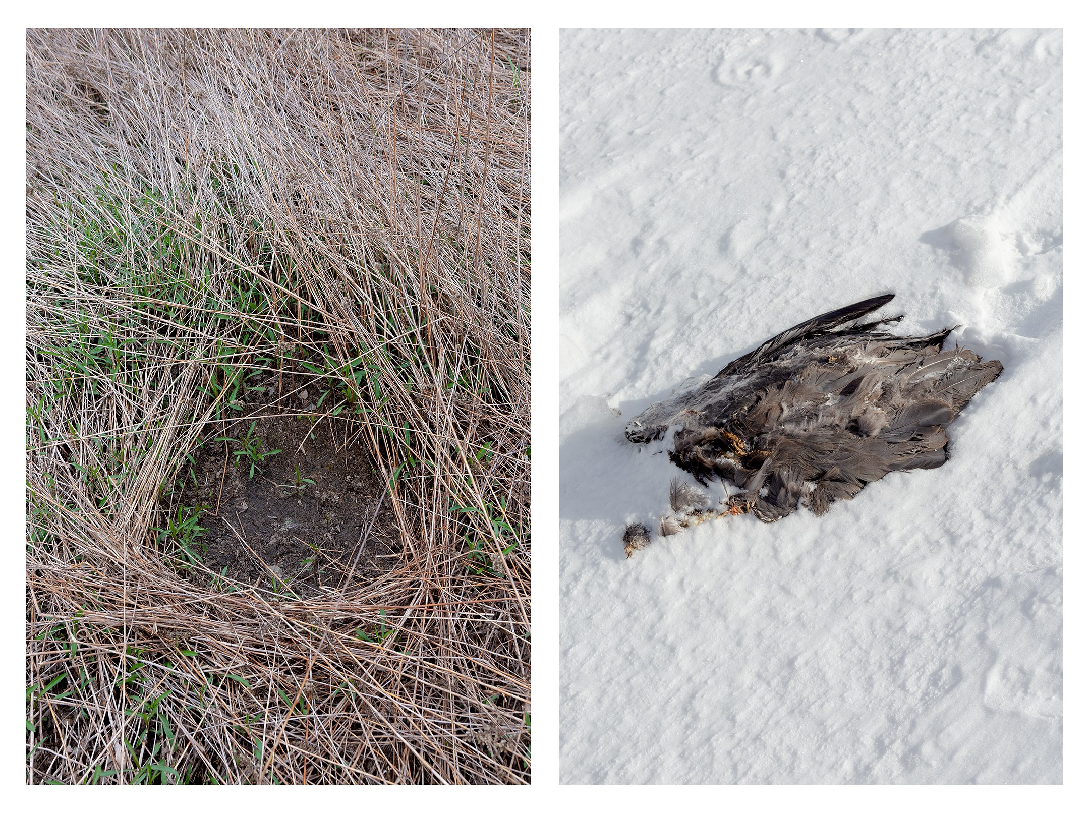 Спектакль. Фотографии Саши Любина