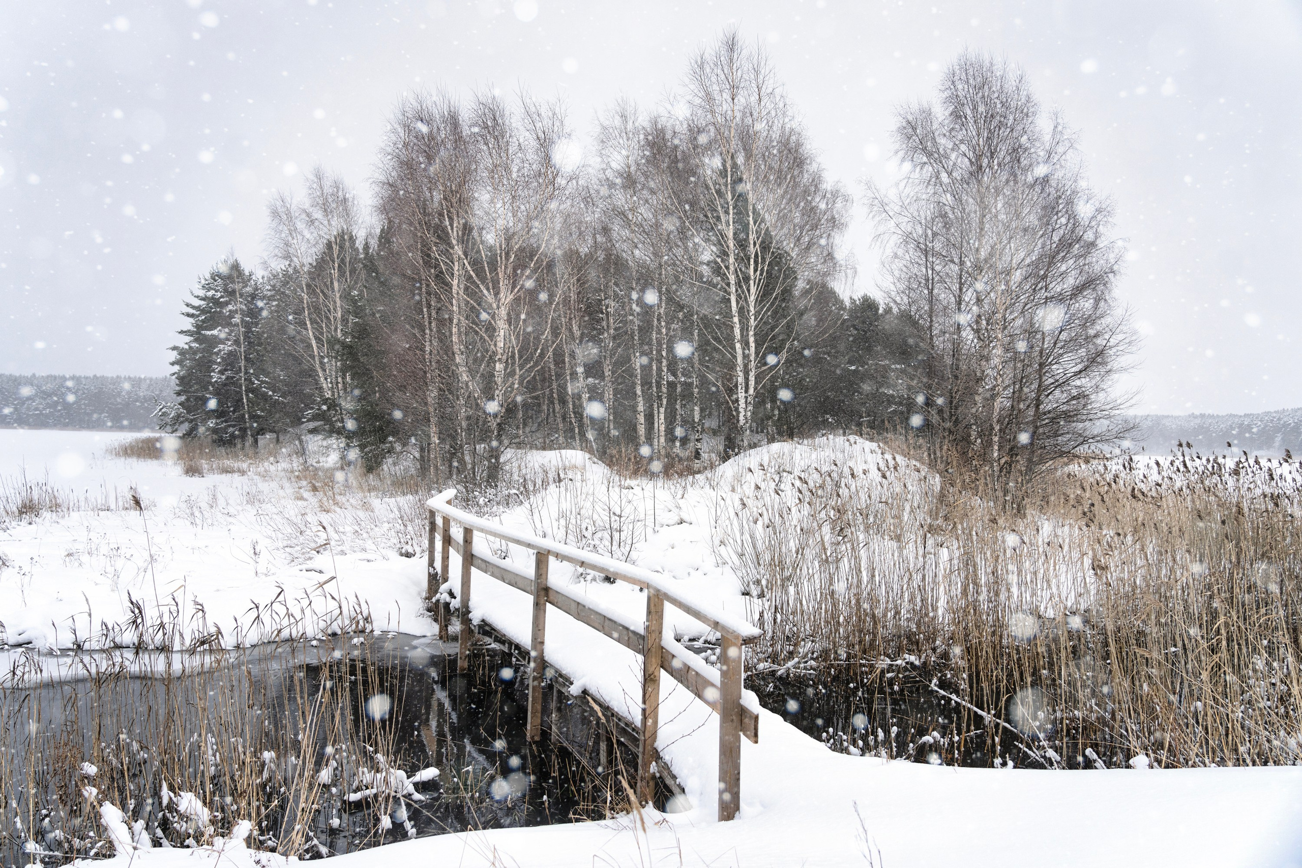 Селигер, Россия. Фотограф Владимир Остапенко