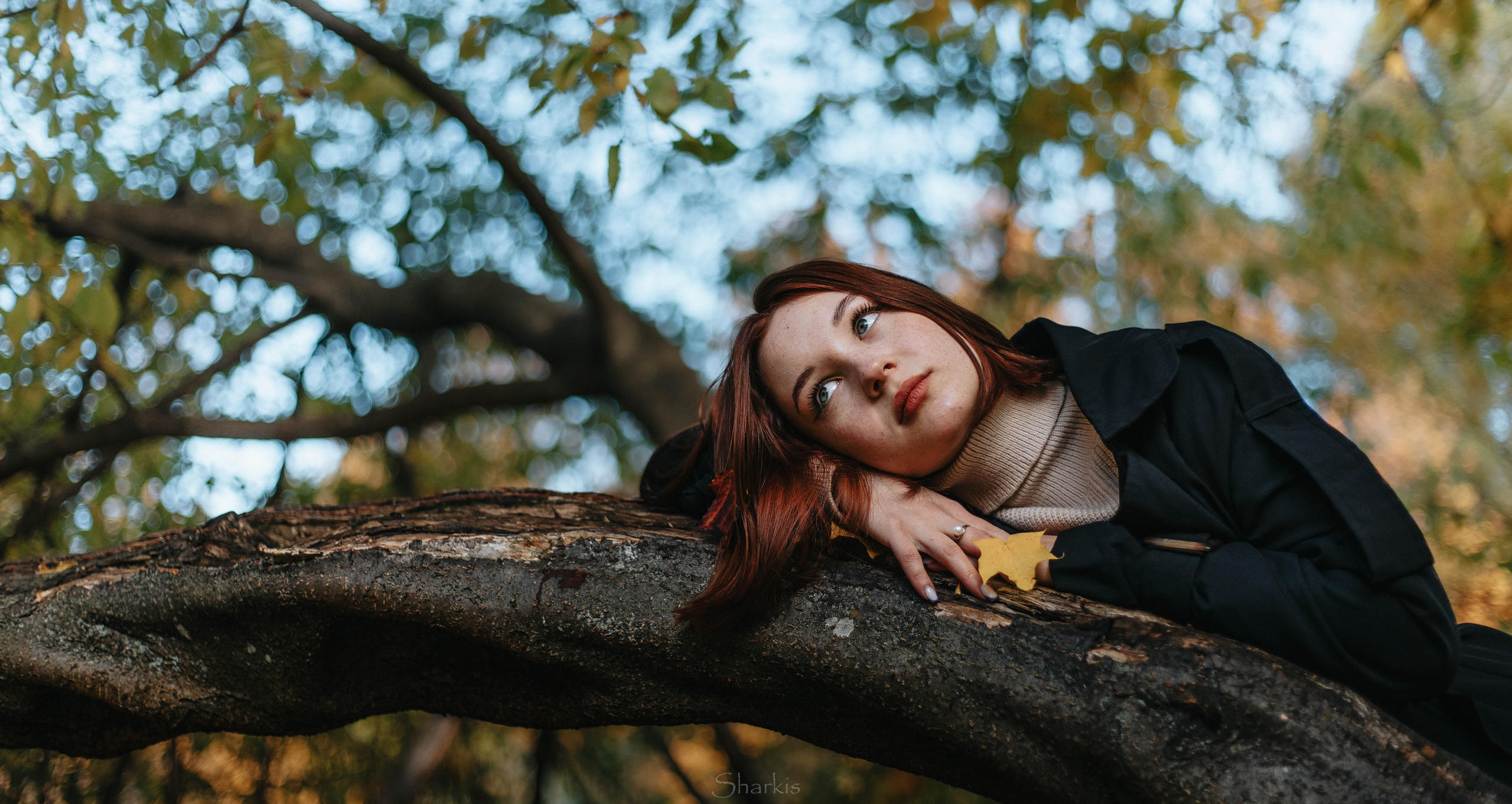 Света. Главная