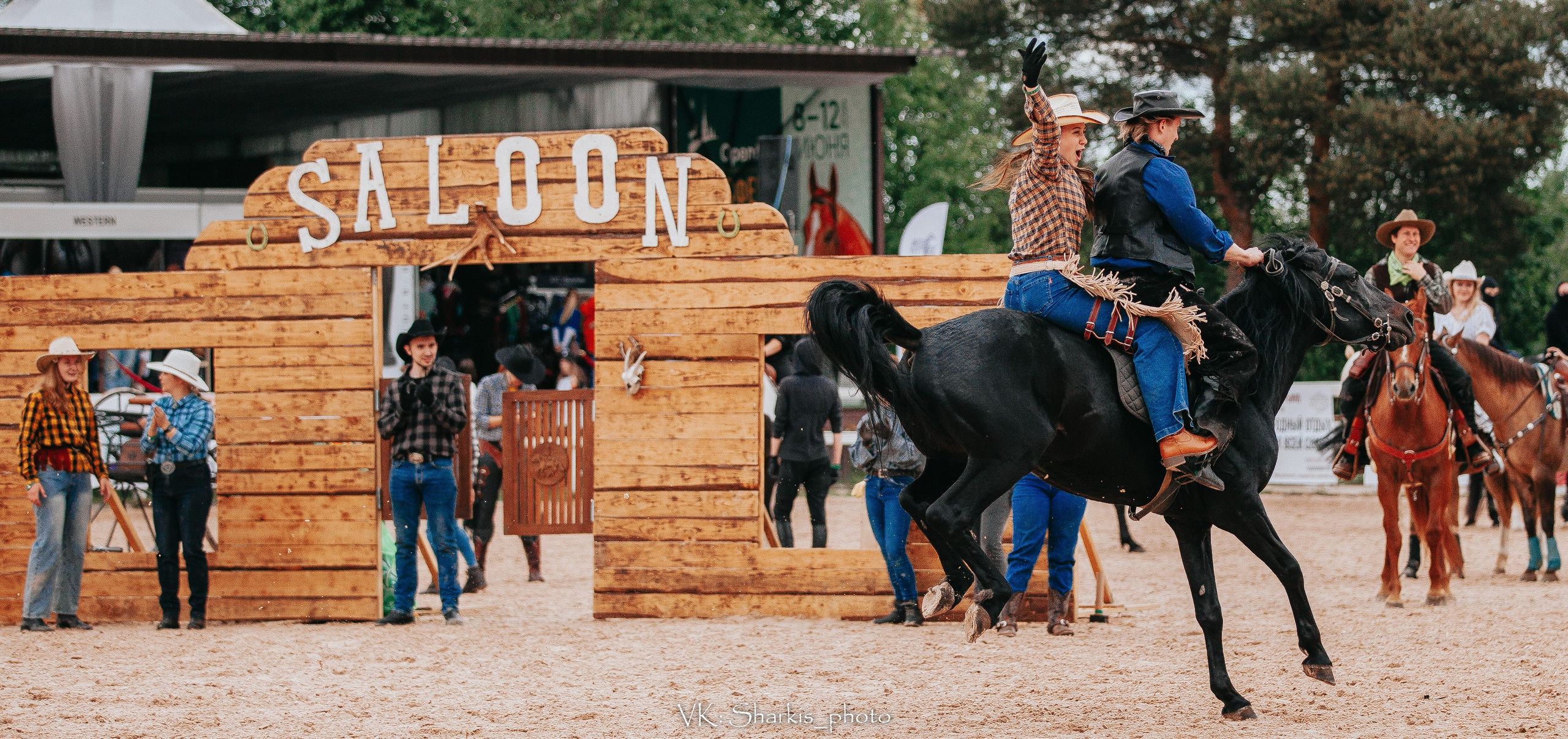 Лошади. Главная