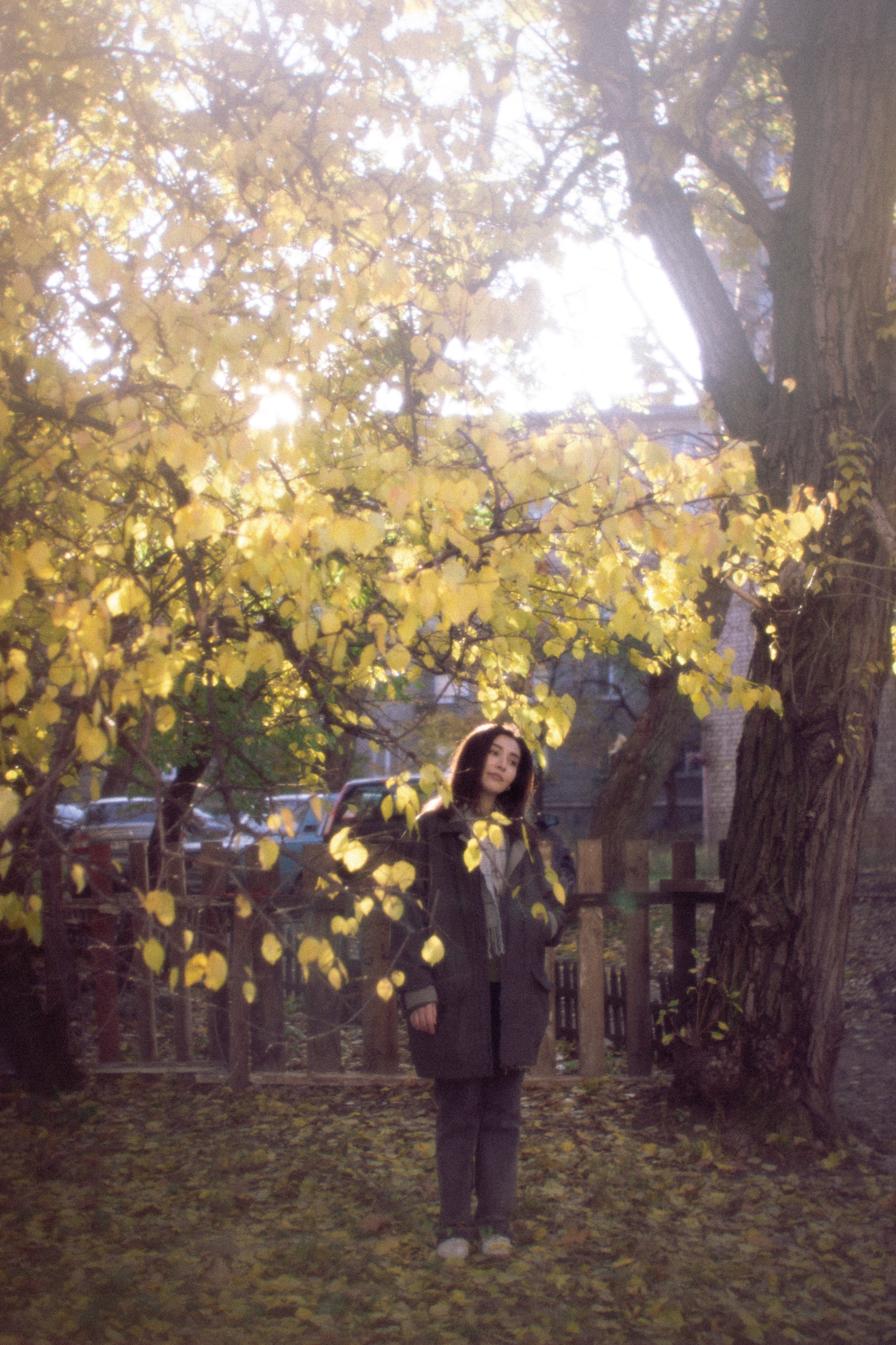 Аромат осеннего света. • Фотограф Александра Светозар Алчевск •