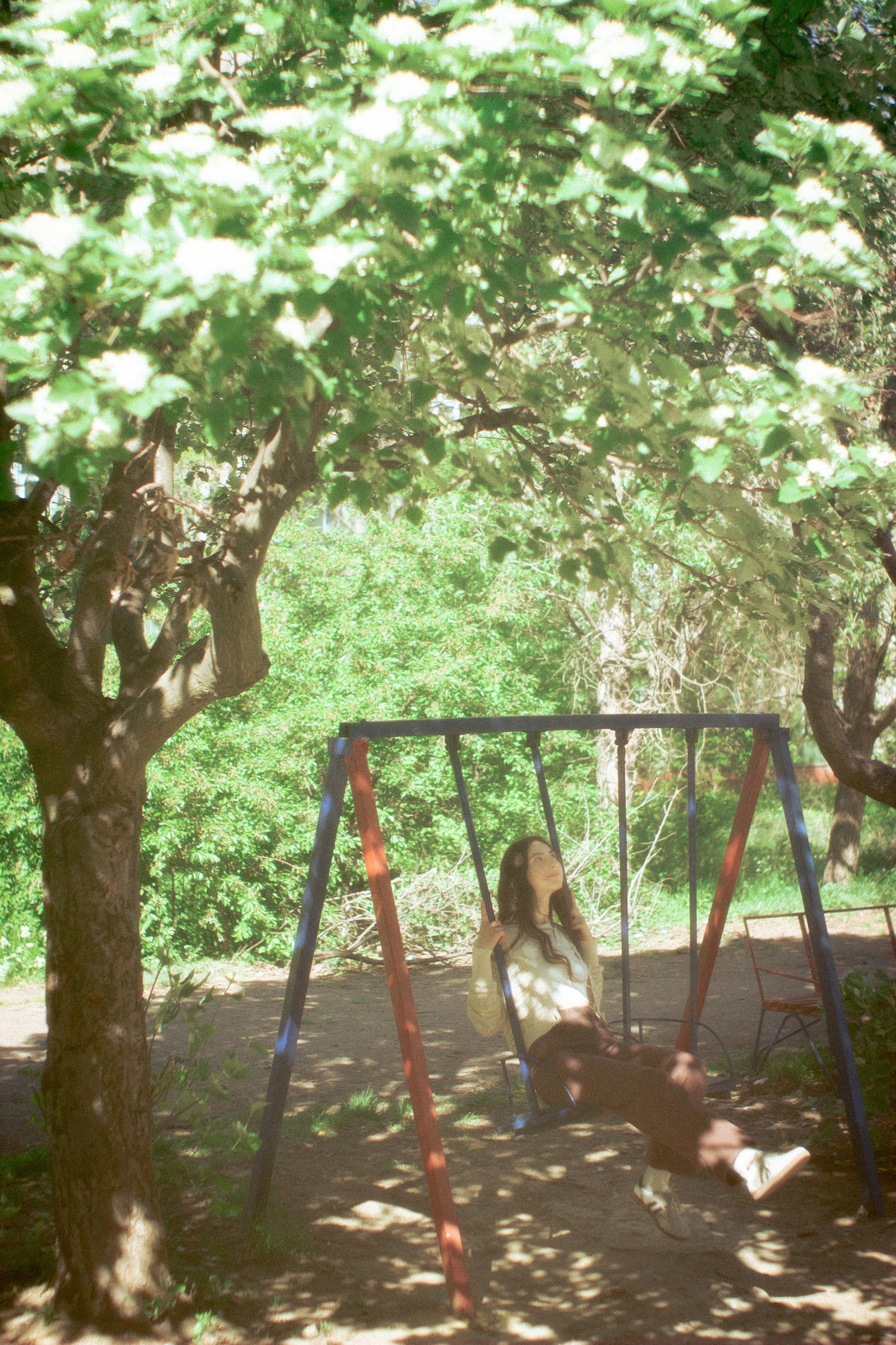 Земля смеётся цветами. • Фотограф Александра Светозар Алчевск •