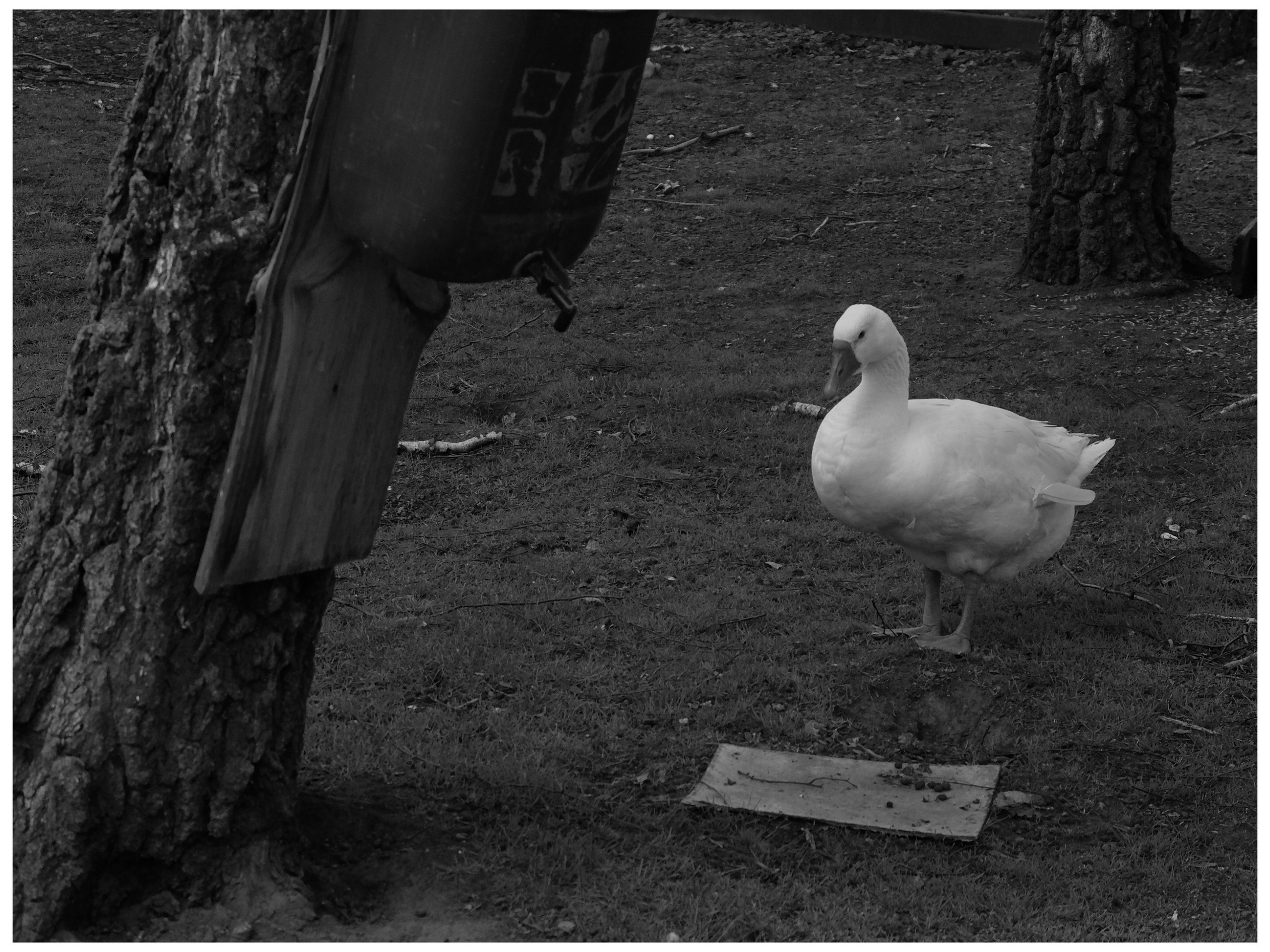 Промежуточные моменты (2022)