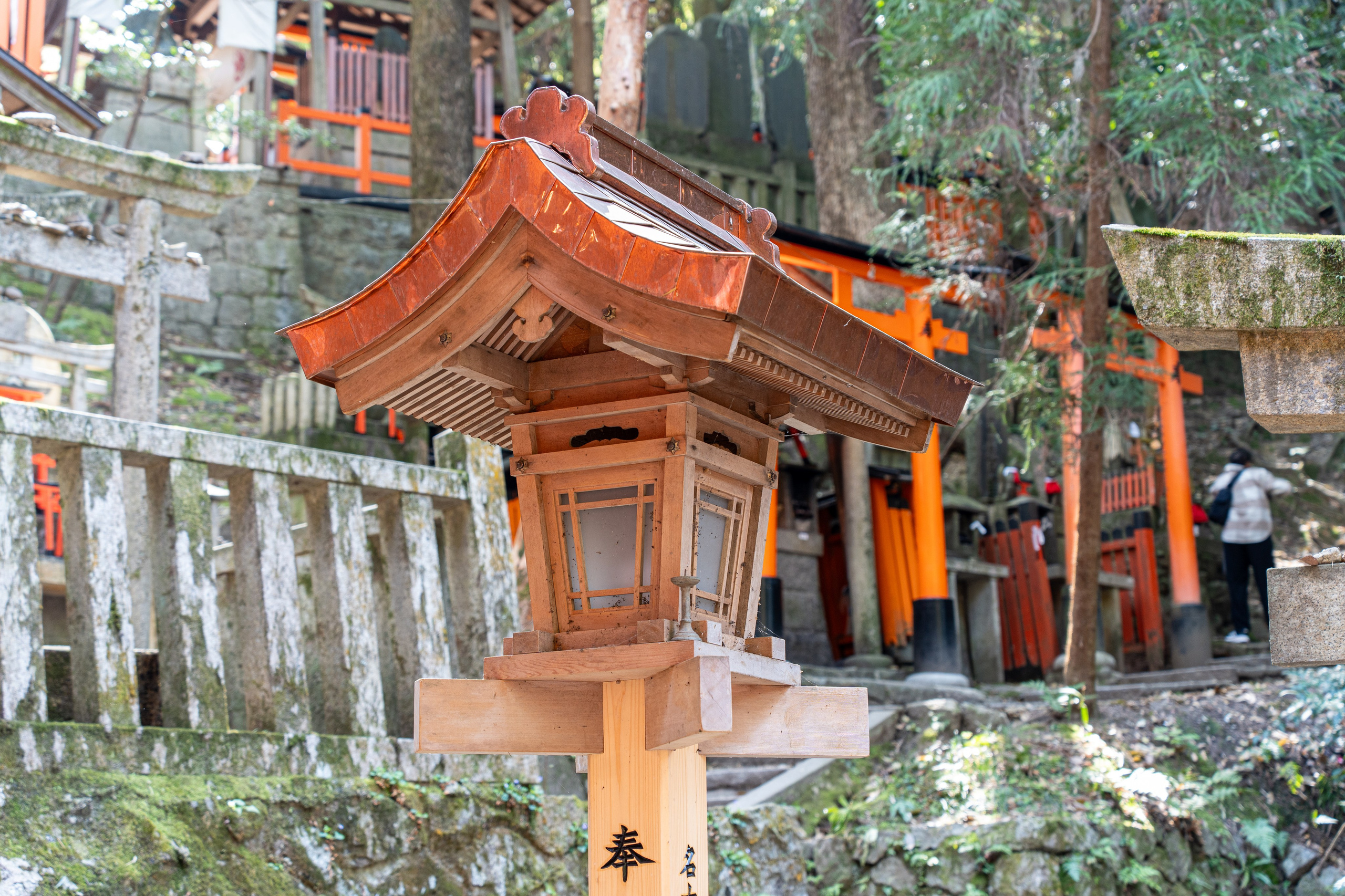 Япония, сакура. Творческие сьемки