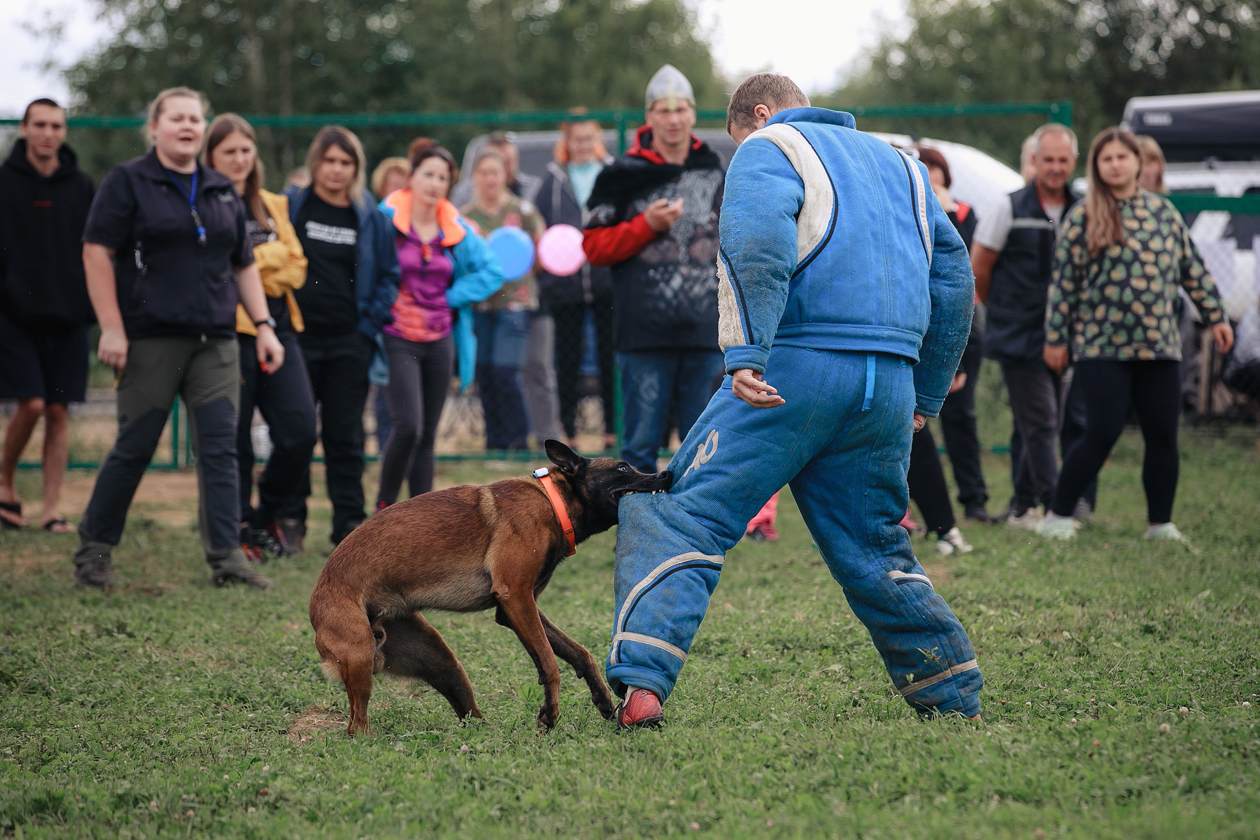 Мондьоринг М1, М2, М3, Вологда. Фотограф-анималист Mary Mart — Москва, Питер