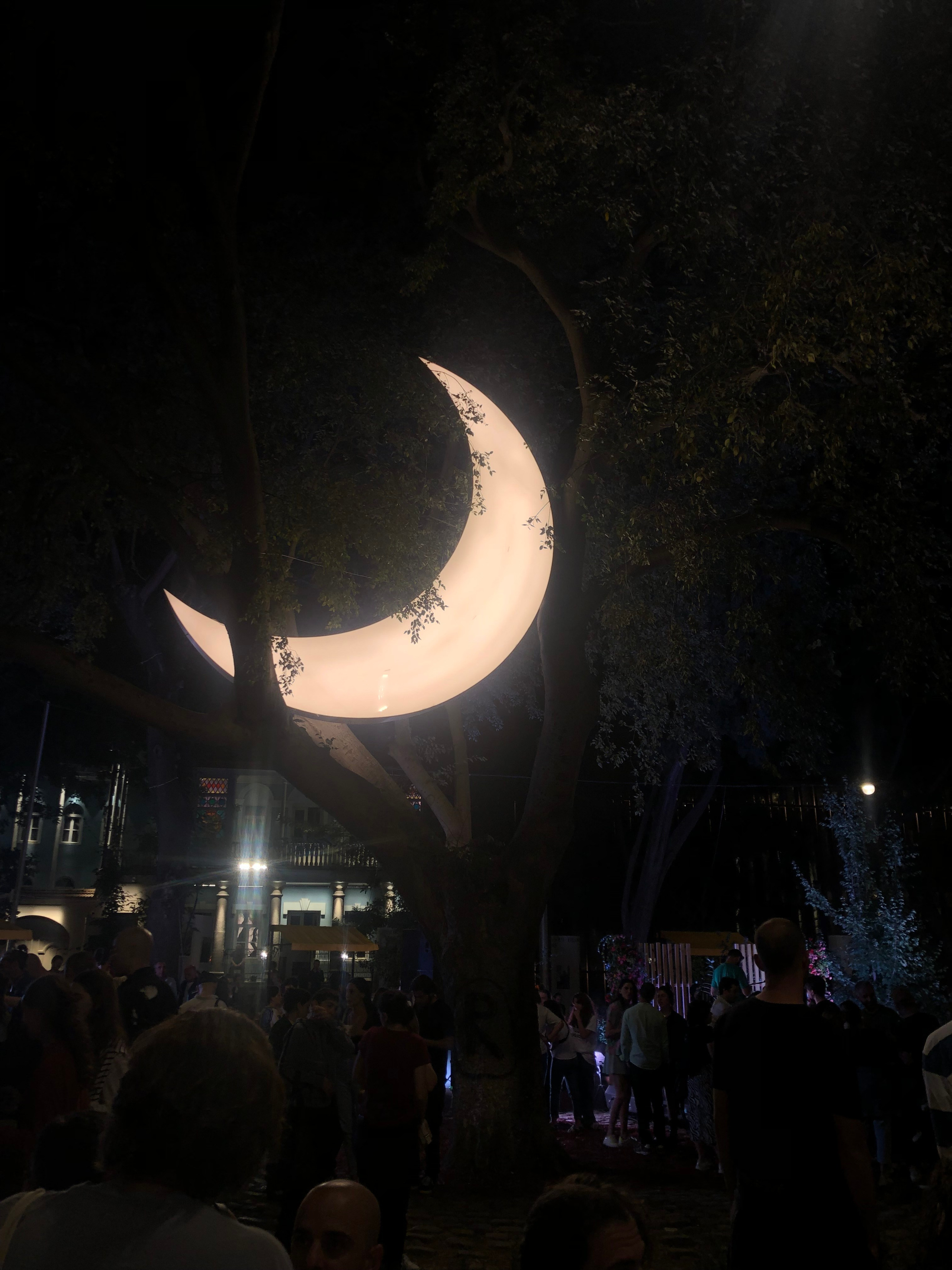 Тбилисоба. Anita_photo