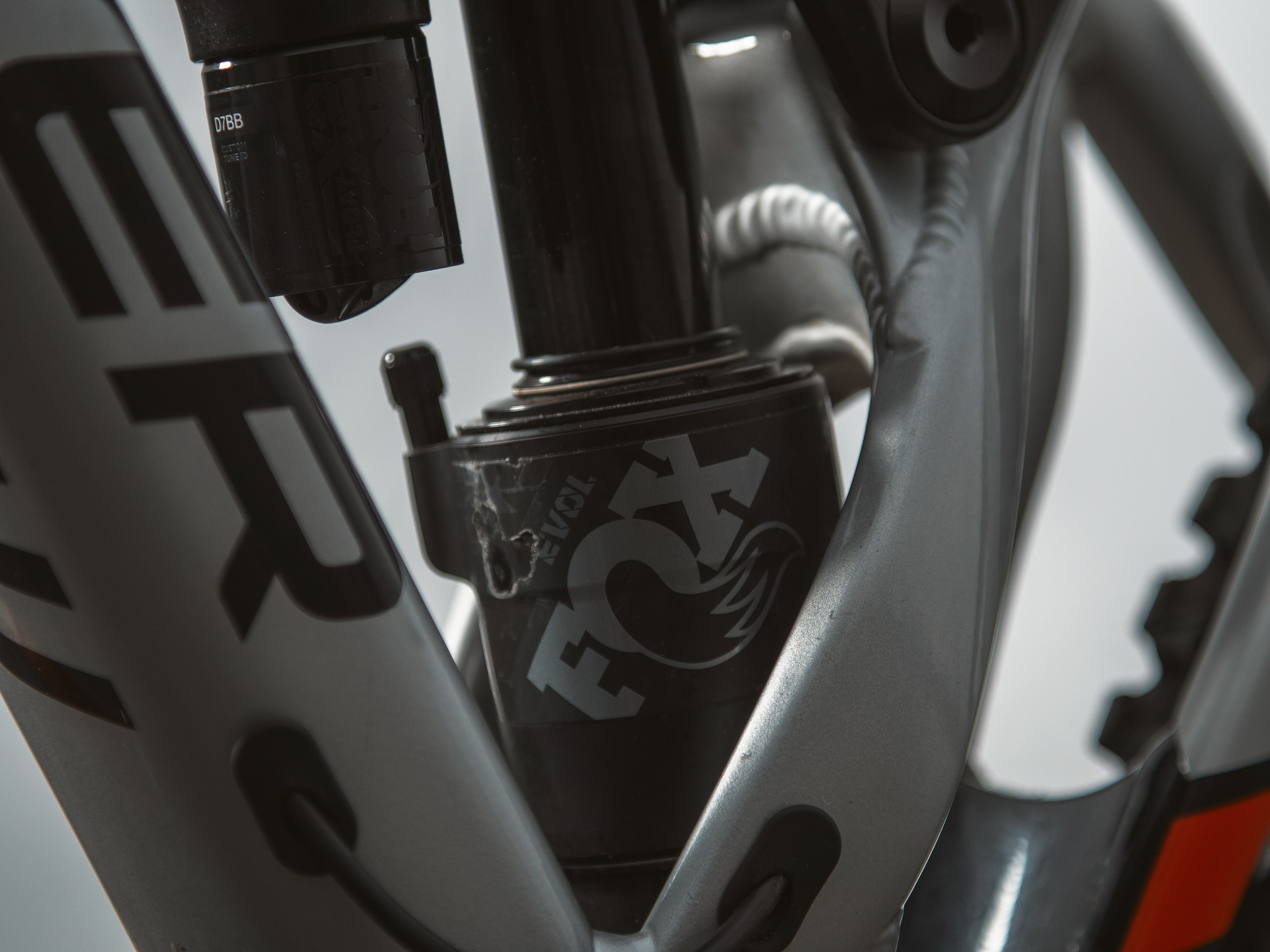 Mondraker. Фотограф анималист Никита Натальный