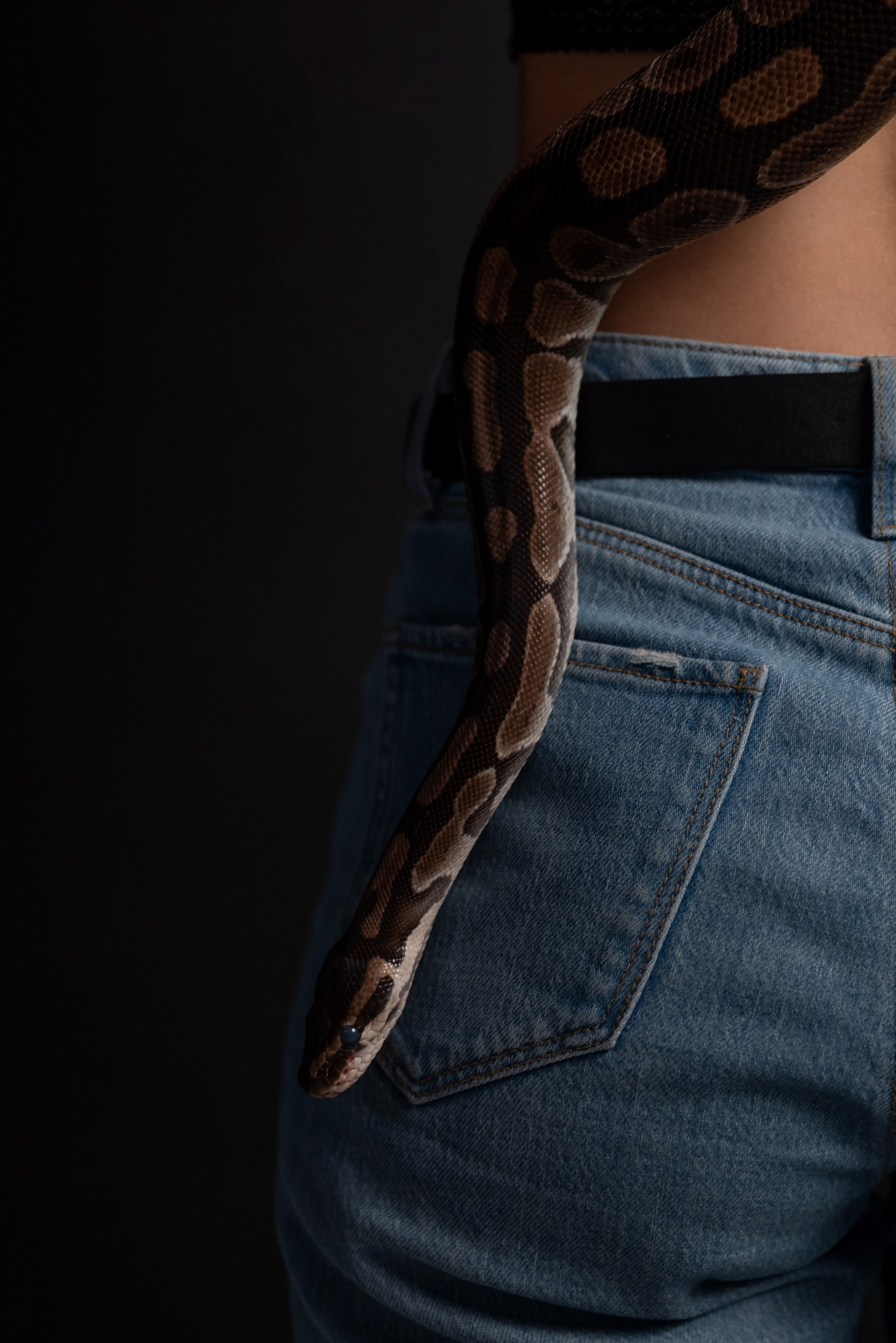 Фотопроект с питоном. Фотограф в городе Салават