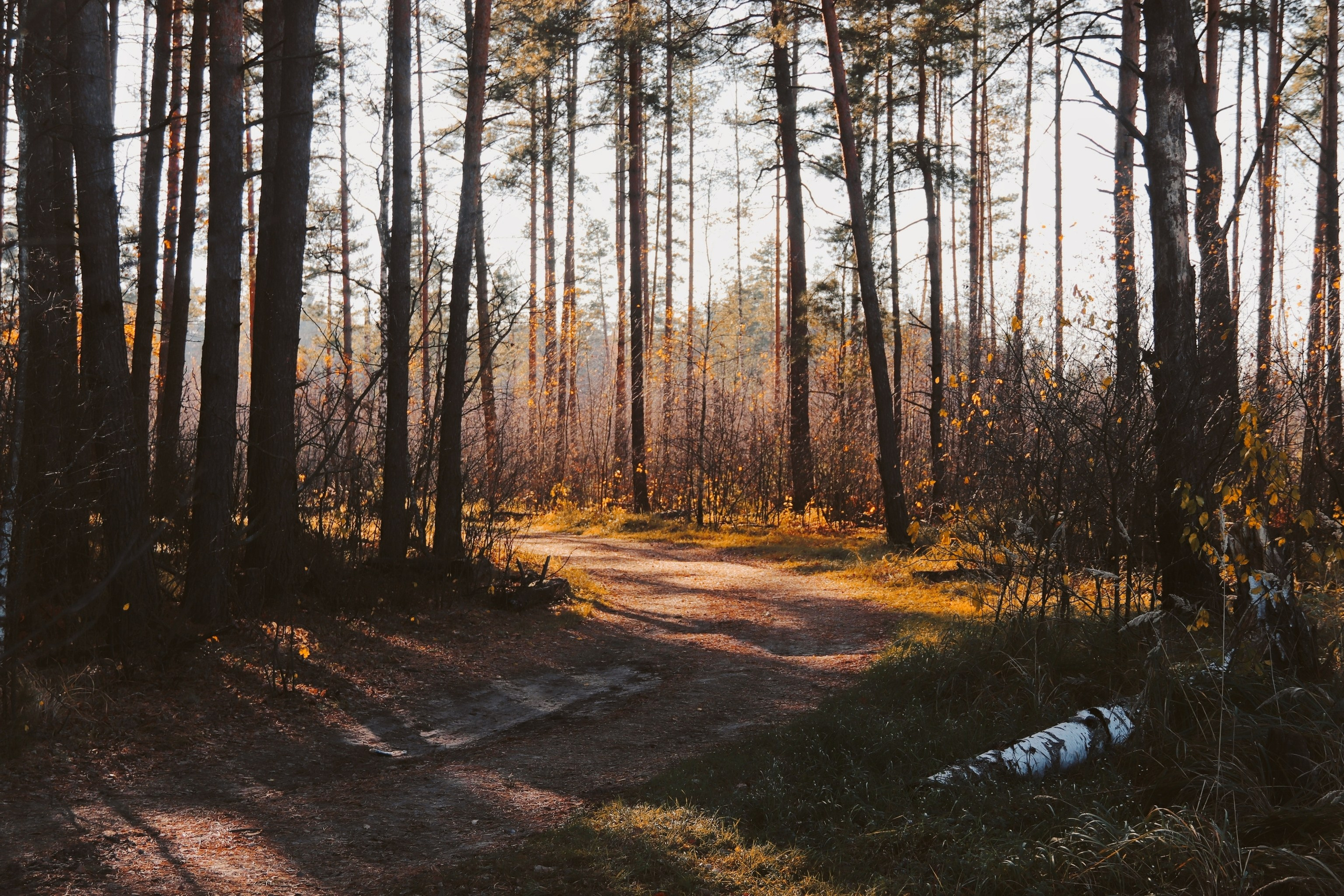 По тропе Паустовского. С любовью, фотохудожник