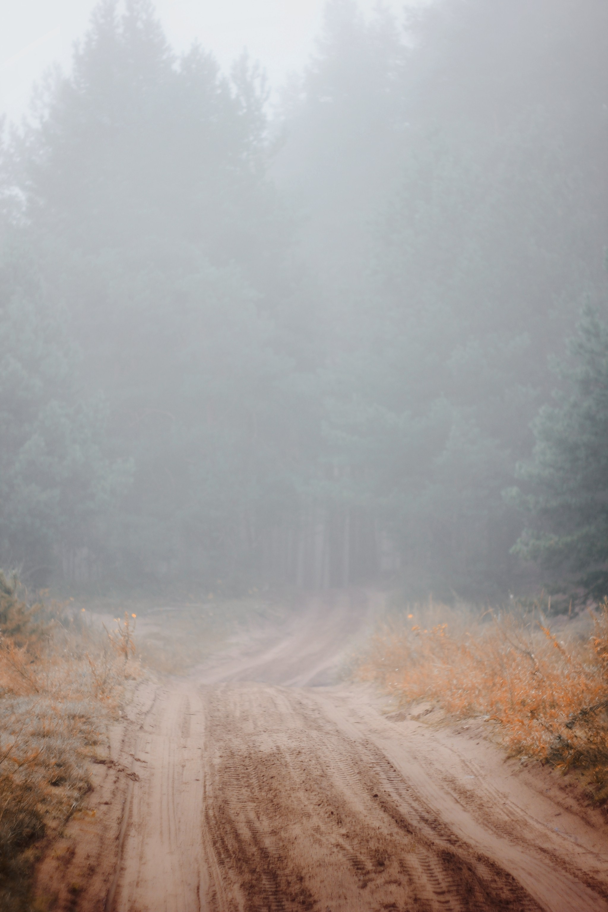 Меланхолия августа. С любовью, фотохудожник