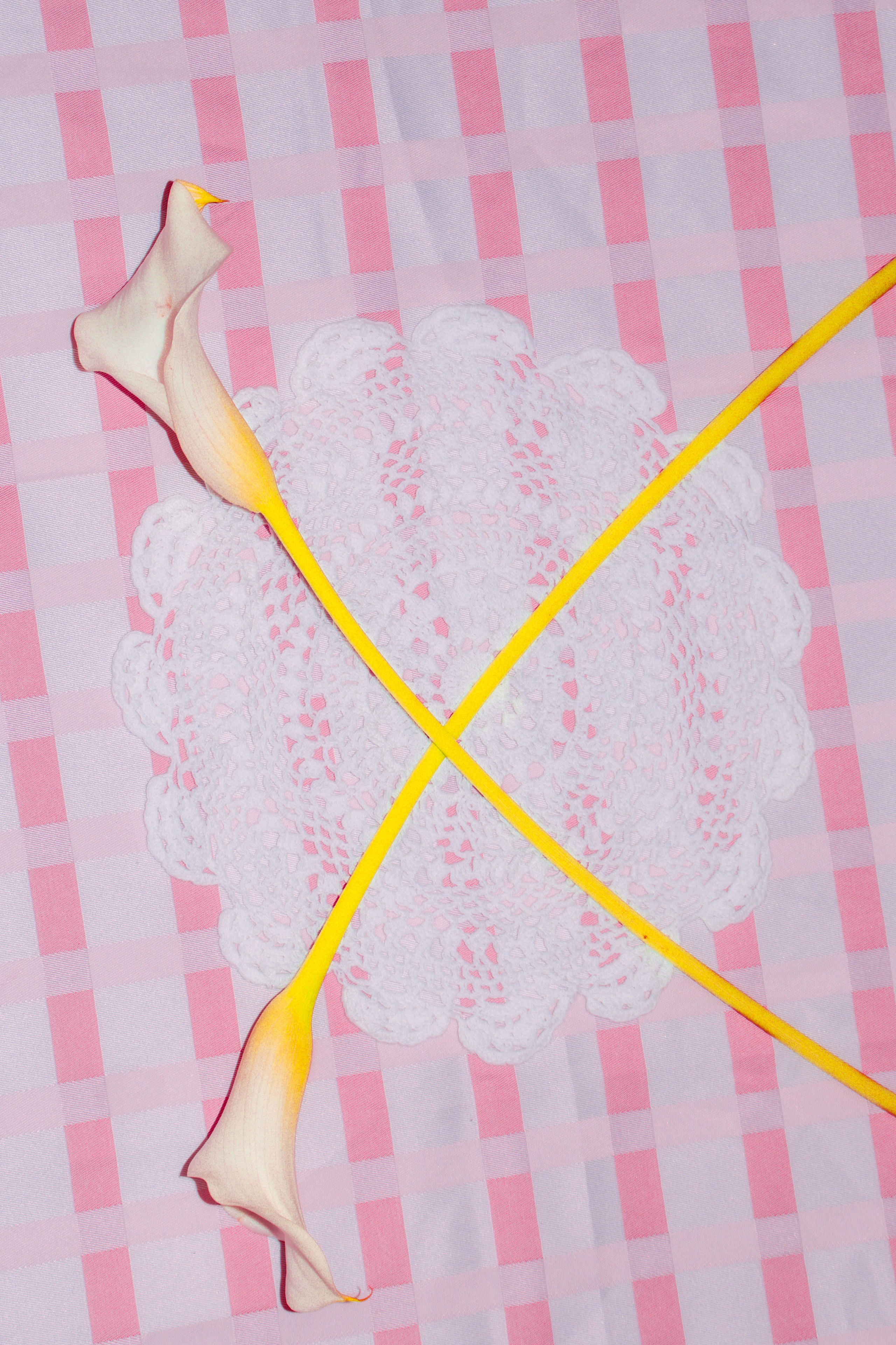 ПРИНТЫ. Виктория Князева| фотограф из Санкт-Петербурга