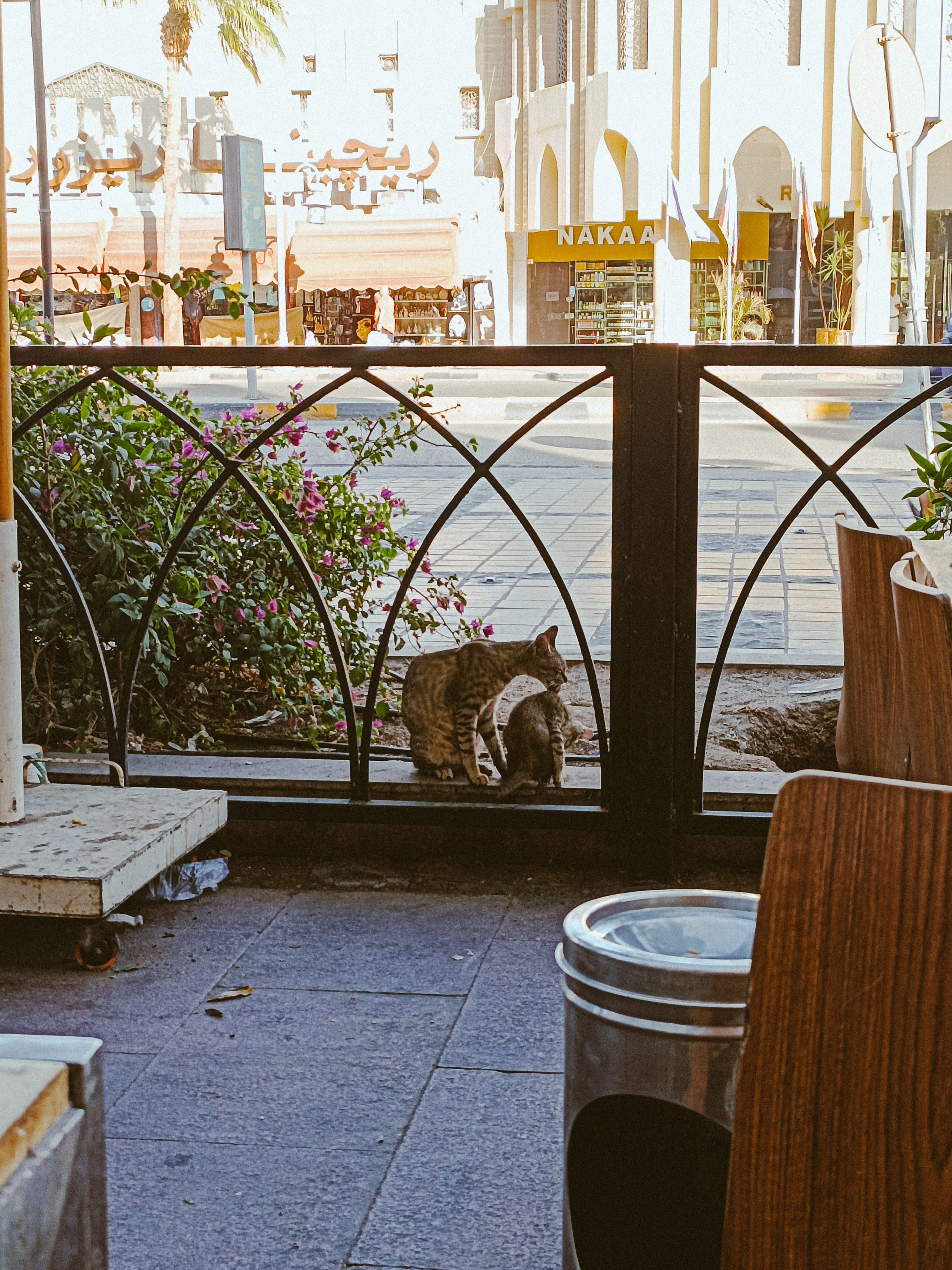 Мобильная. Jorgis — фотограф в Хургаде / обучение фотографии