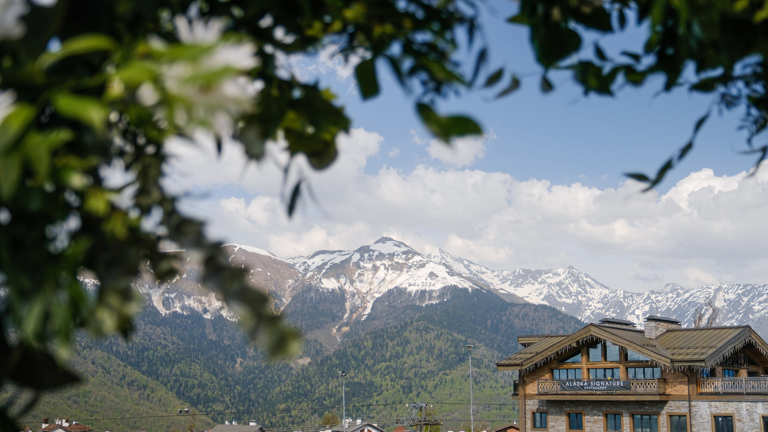 Александра / Руслан. Свадебный Видеограф Фотограф в Сочи