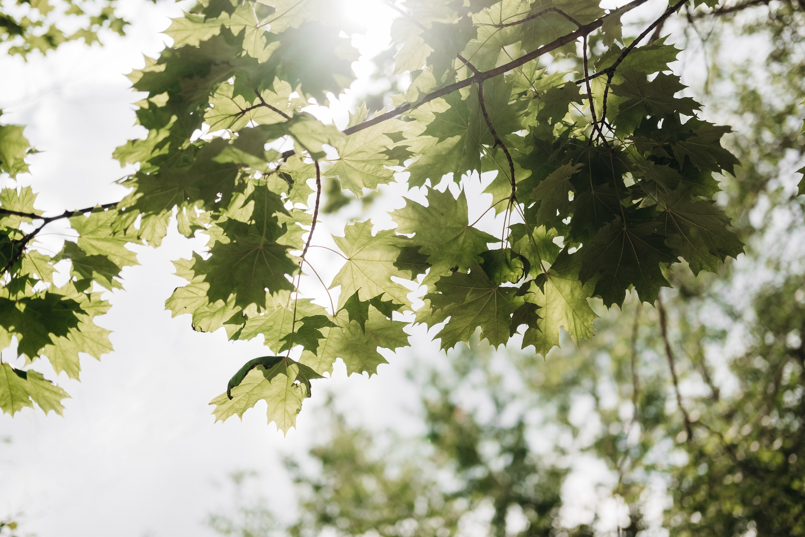 Паша и Наташа. Свадебный и семейный фотограф в Ульяновске Анастасия Мышенкова