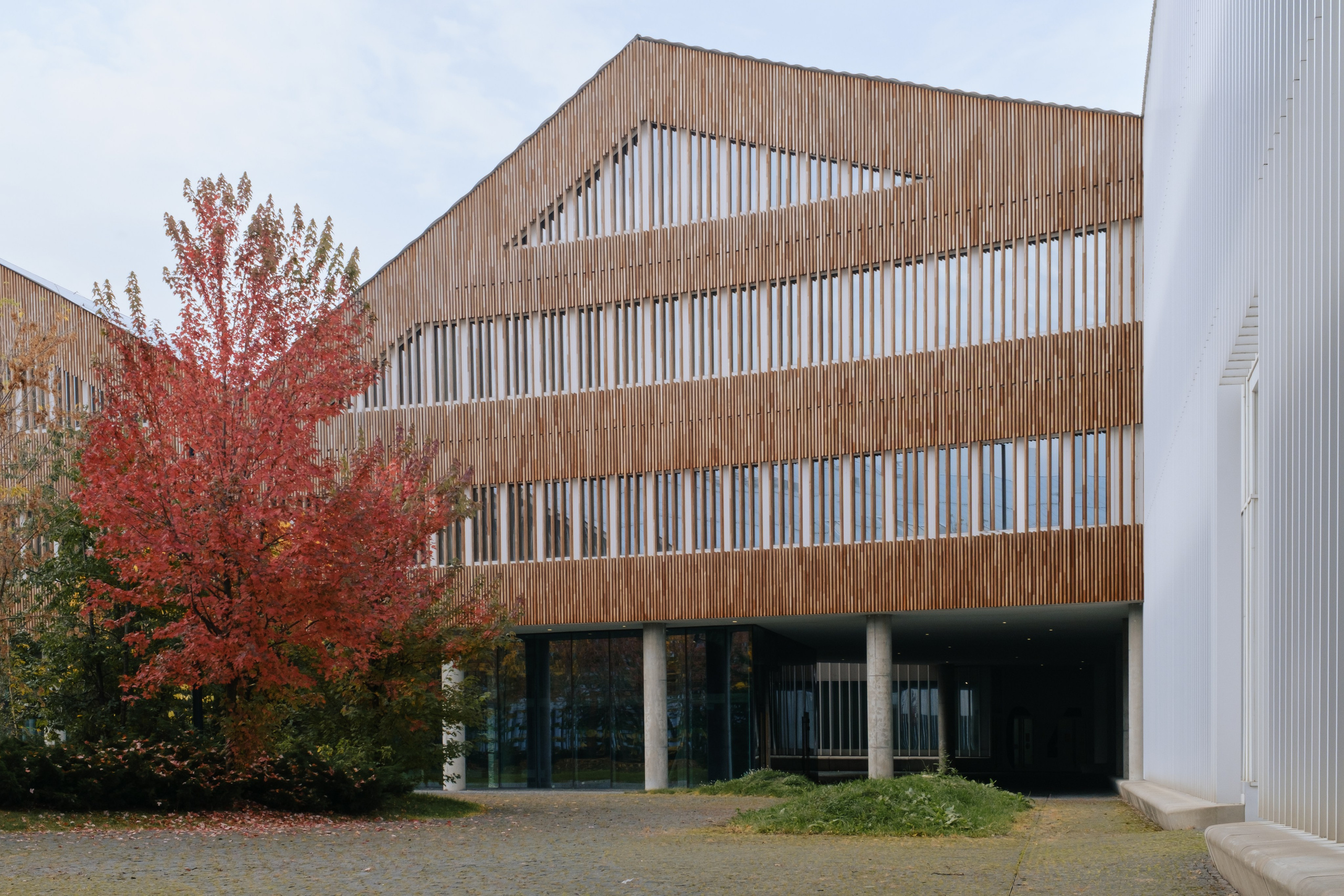 Сколтех, 2025. Фотограф и исследователь городской среды Ксения Русс