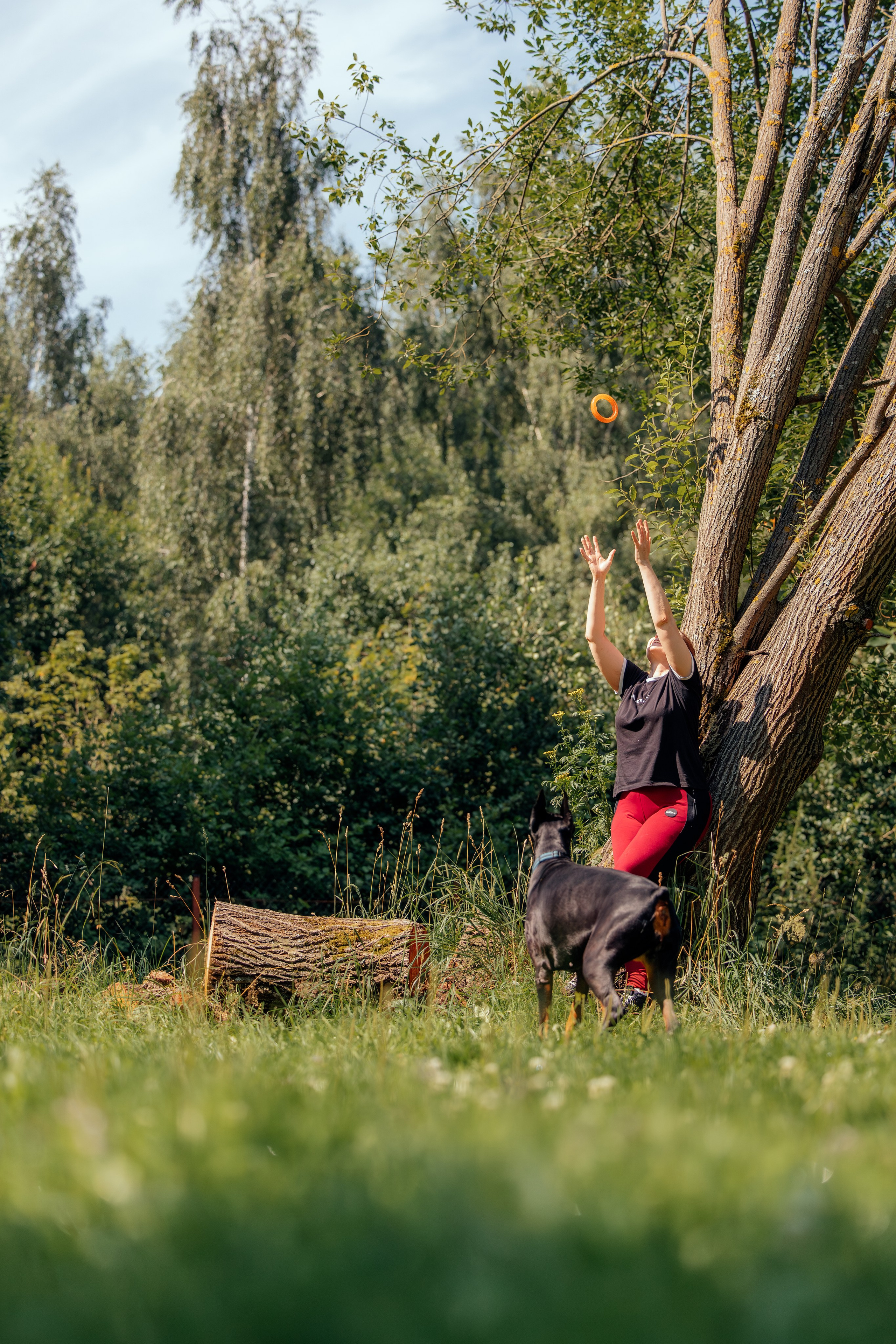 Доберман Айза. Фотограф Анималист в Москве Анастасия Жучкова