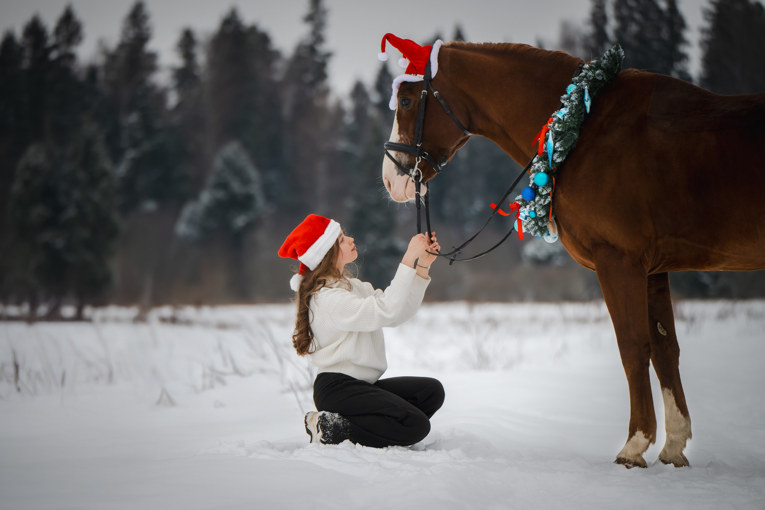 Виктория и Лео. Фотограф Анималист в Москве Анастасия Жучкова