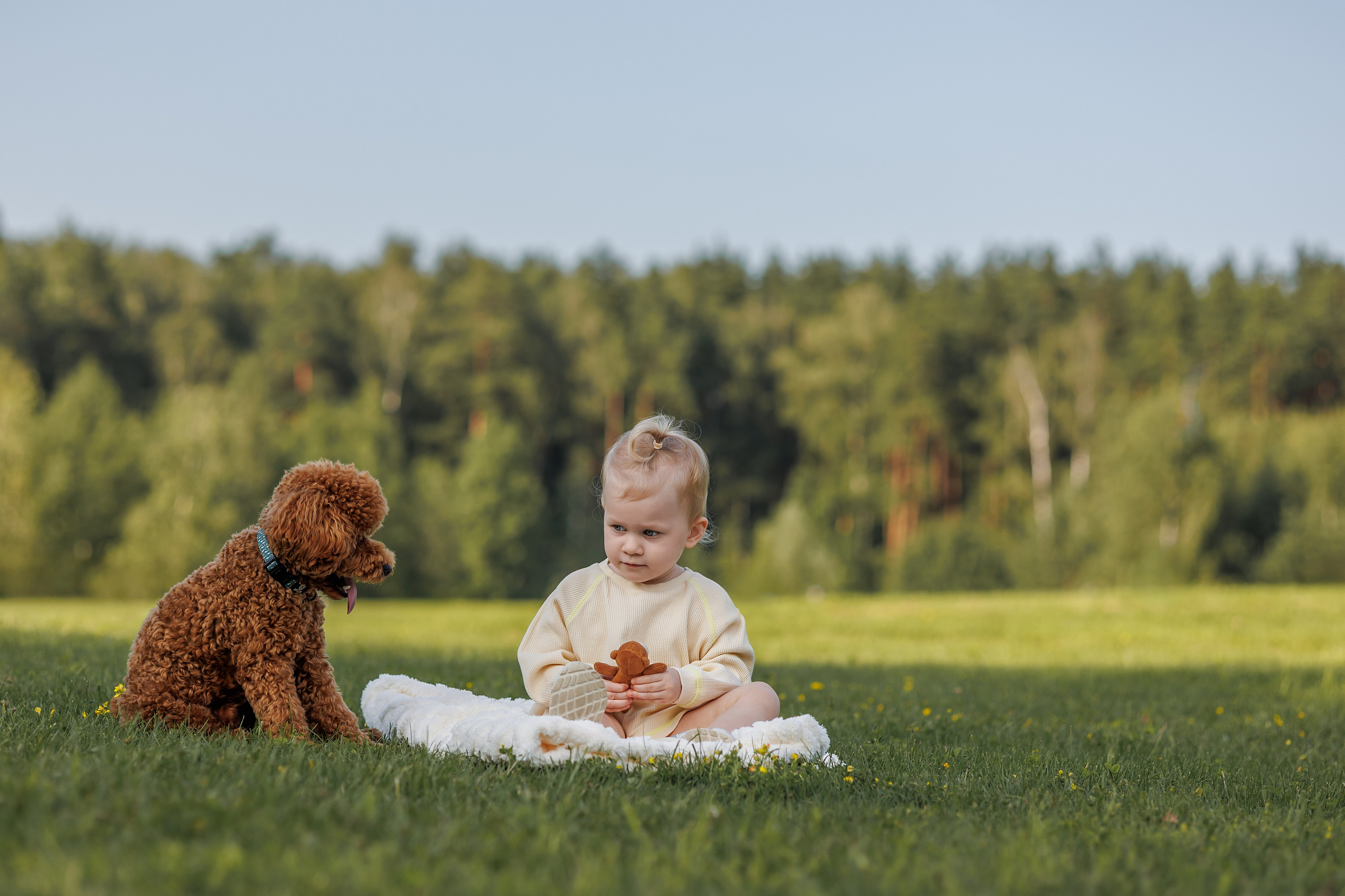 Лариса и Джек. Фотограф Анималист в Москве Анастасия Жучкова
