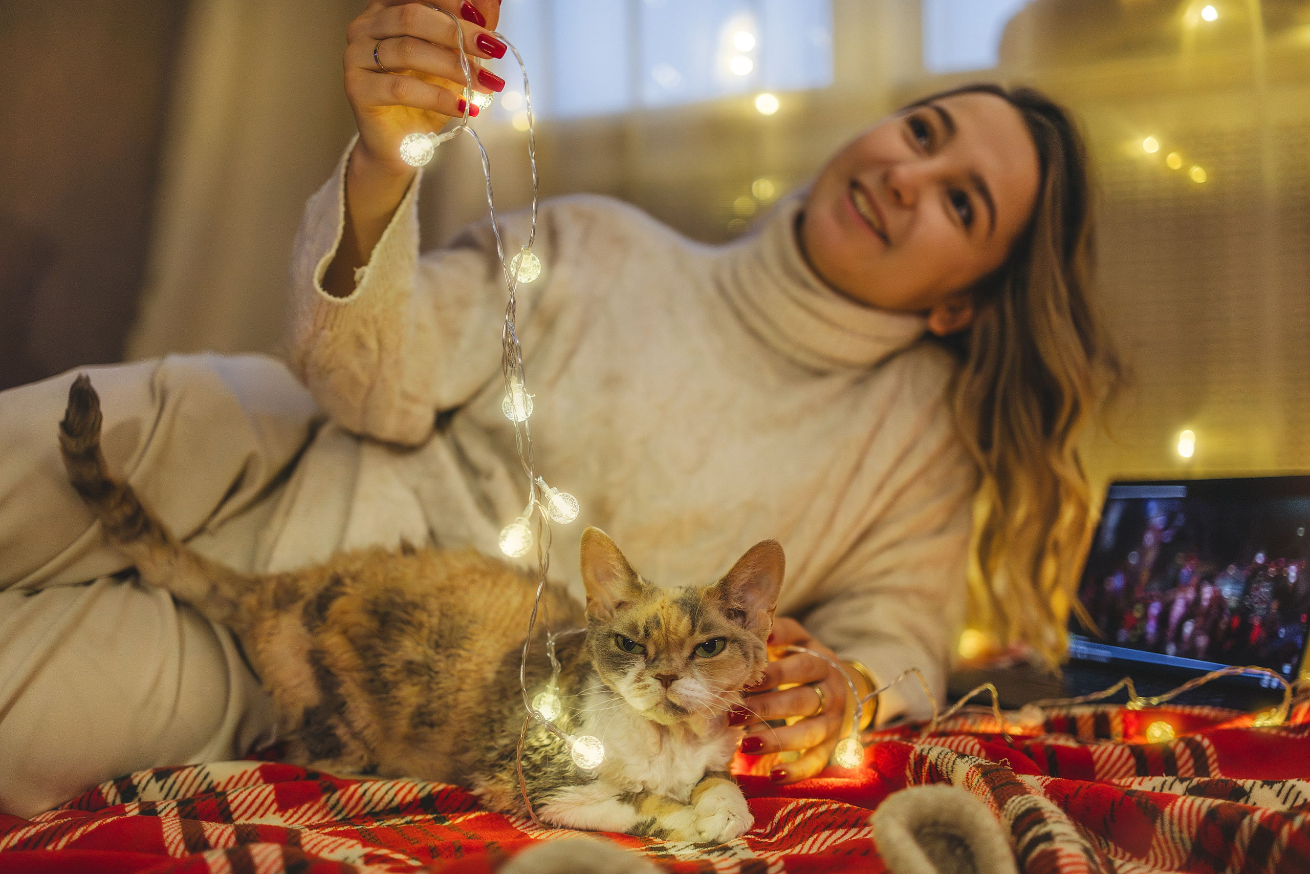 Домашняя новогодняя. Фотограф Анималист в Москве Анастасия Жучкова