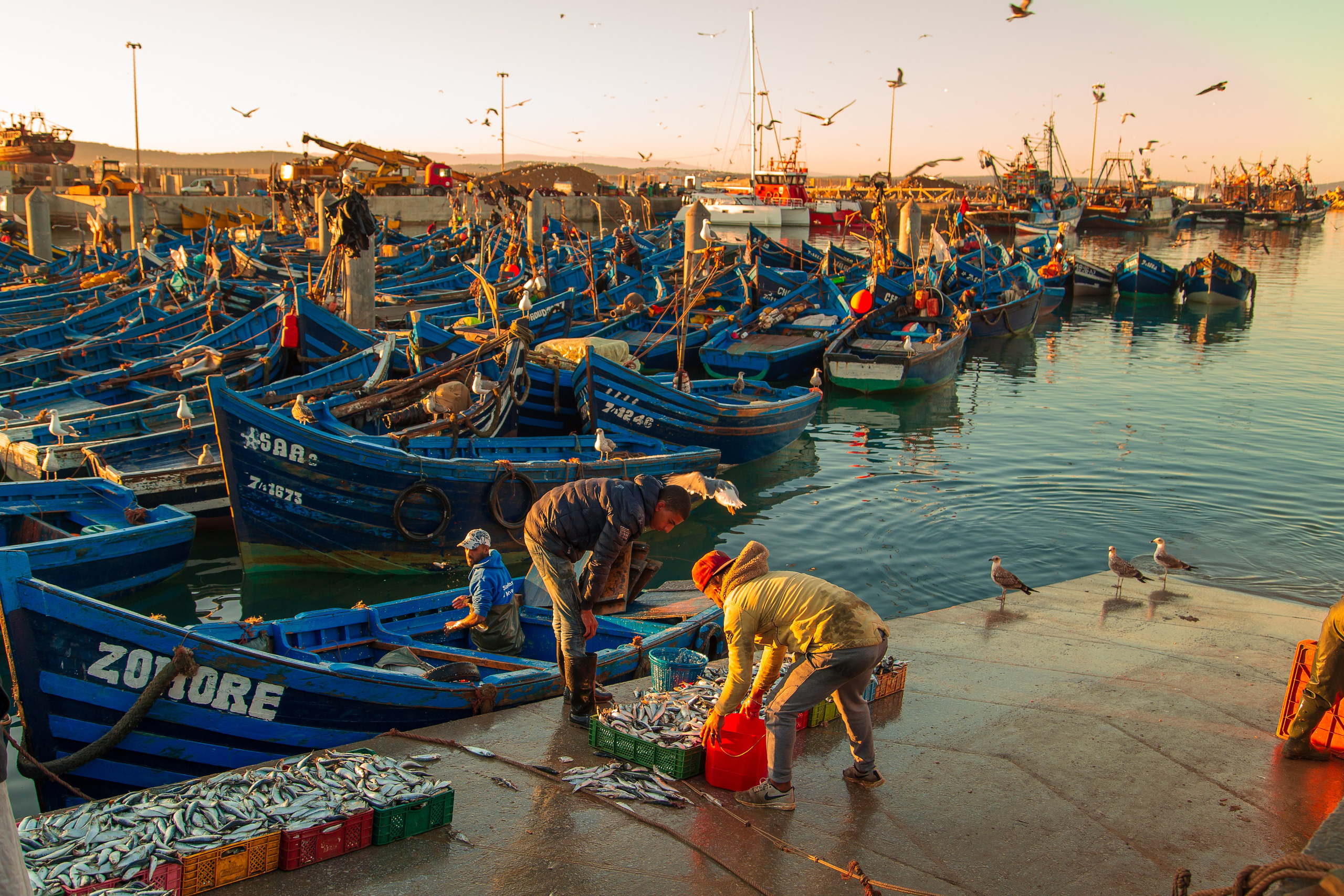 Марокко. Тревел-фотограф Елизавета Ларионова