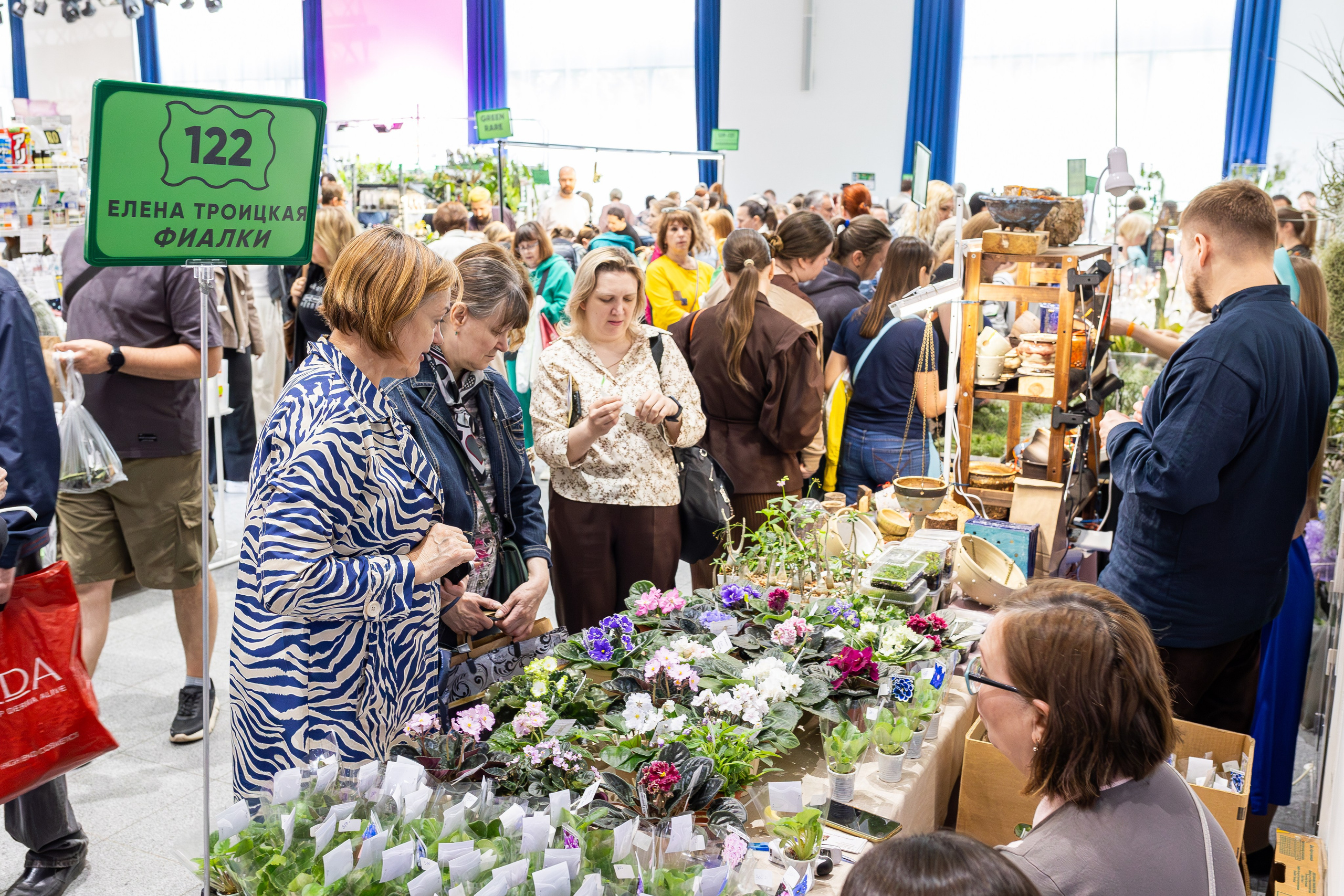 Орхидиум май 2025. Александра Куликова фотограф, Москва