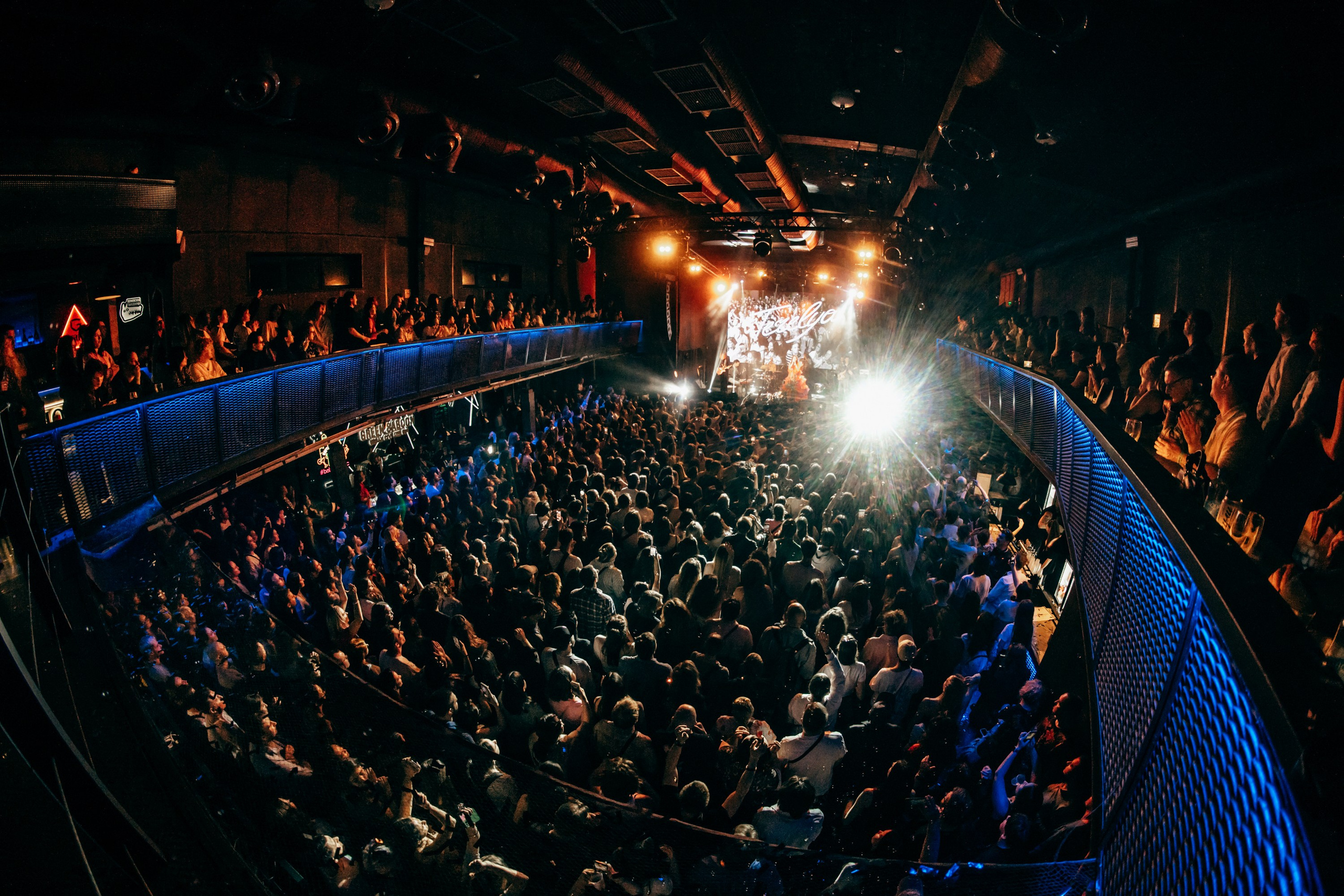 КОНЦЕРТЫ. RVANCEVA