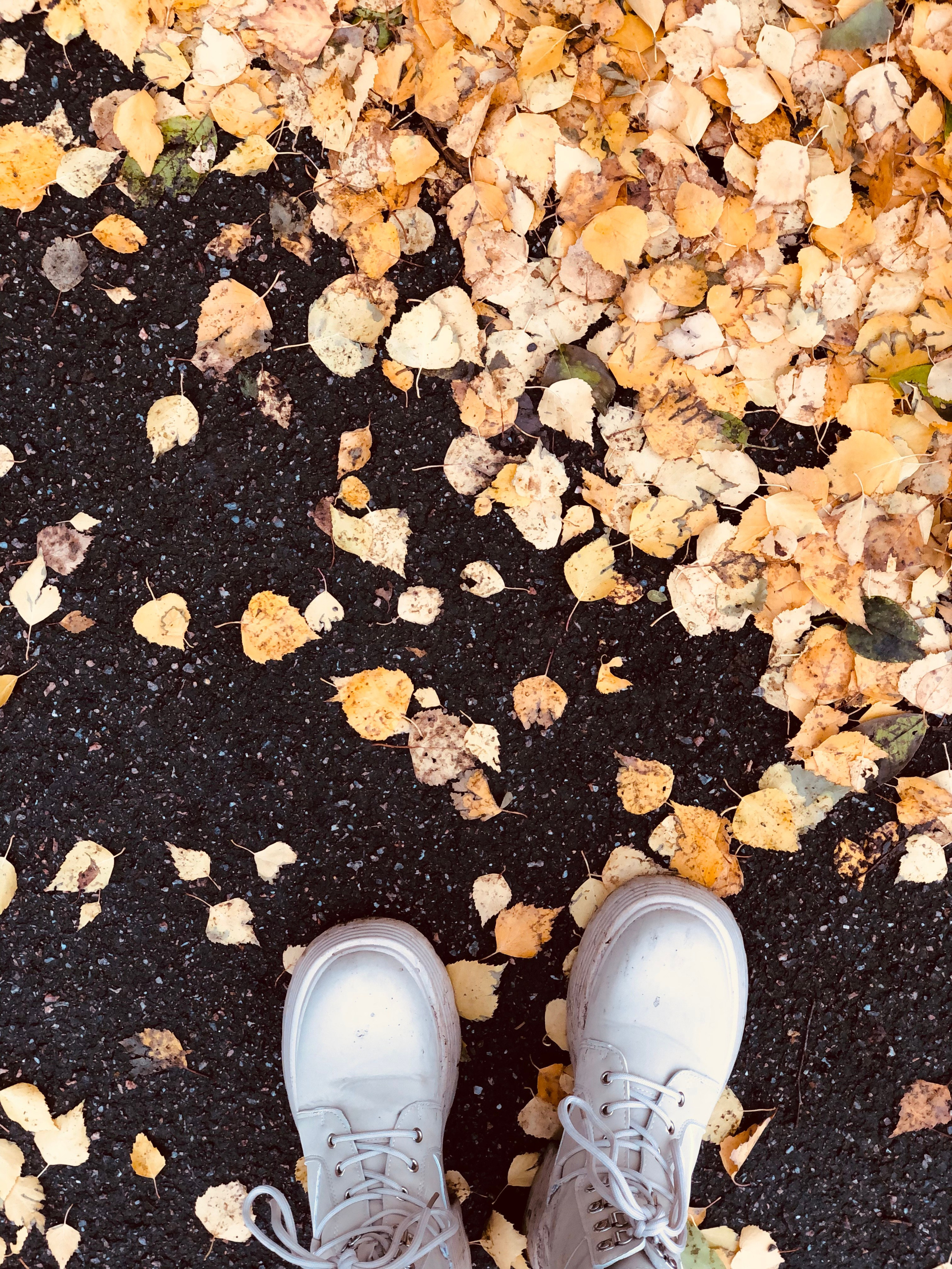 Ноябрь. Семейный, Свадебный фотограф СПБ Питер— Романова Екатерина